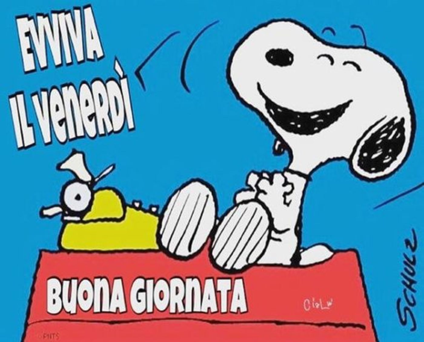 Buon venerdì immagini nuove gratis da scaricare (1)