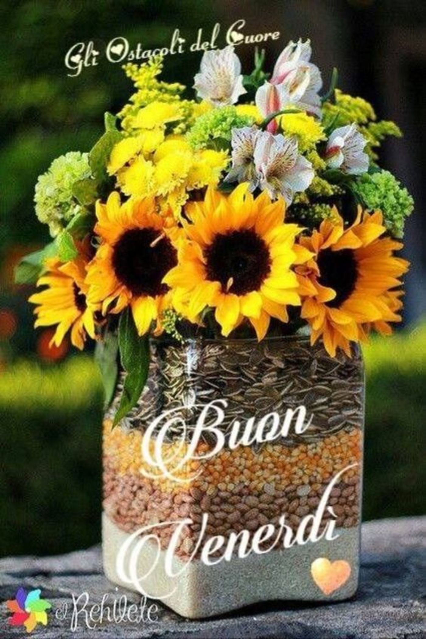 Buon venerdì immagini nuove gratis