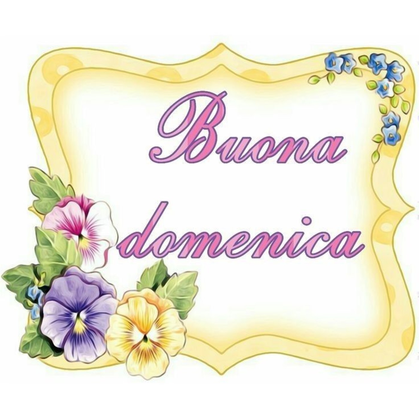 Buona domenica (2)