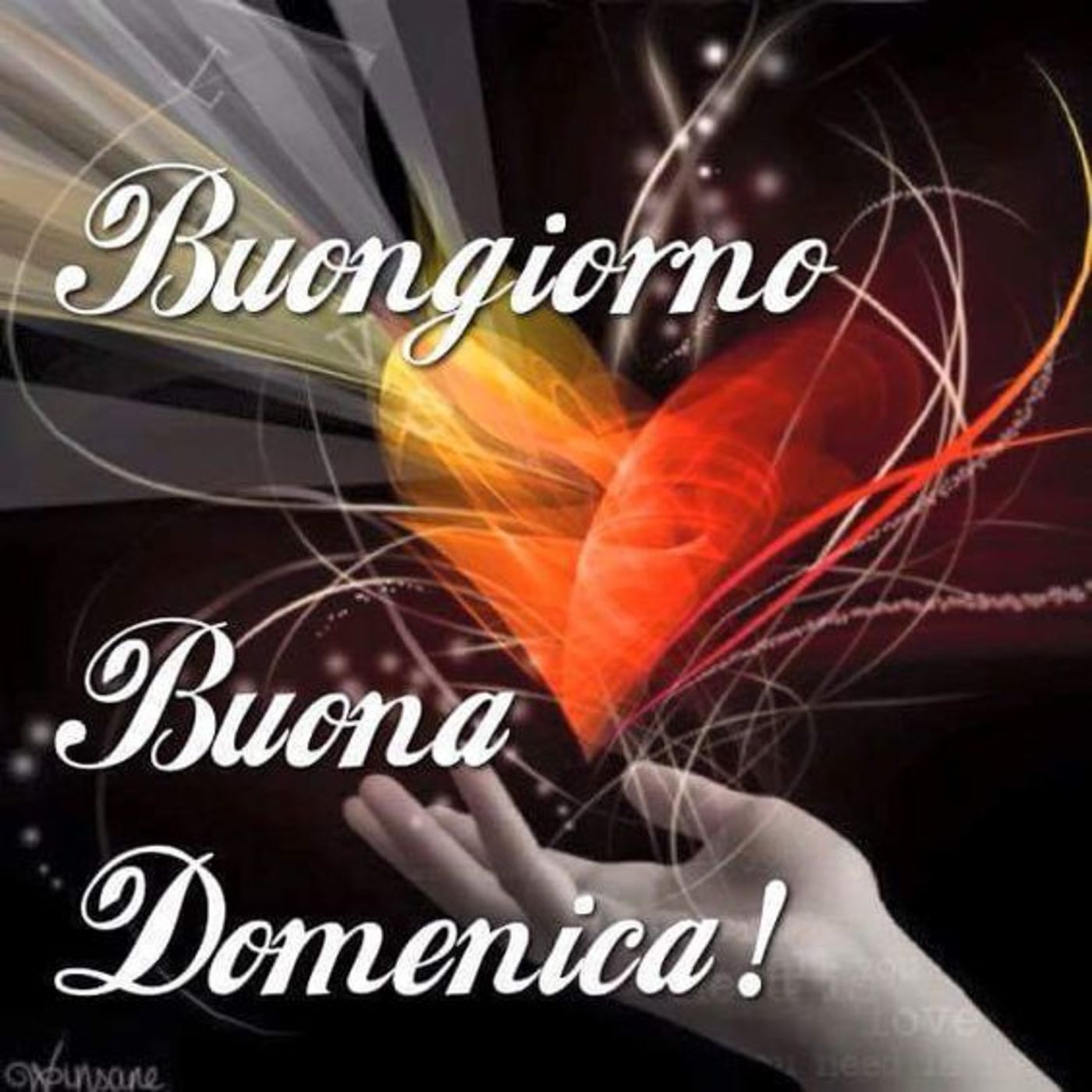 Buona domenica (8)