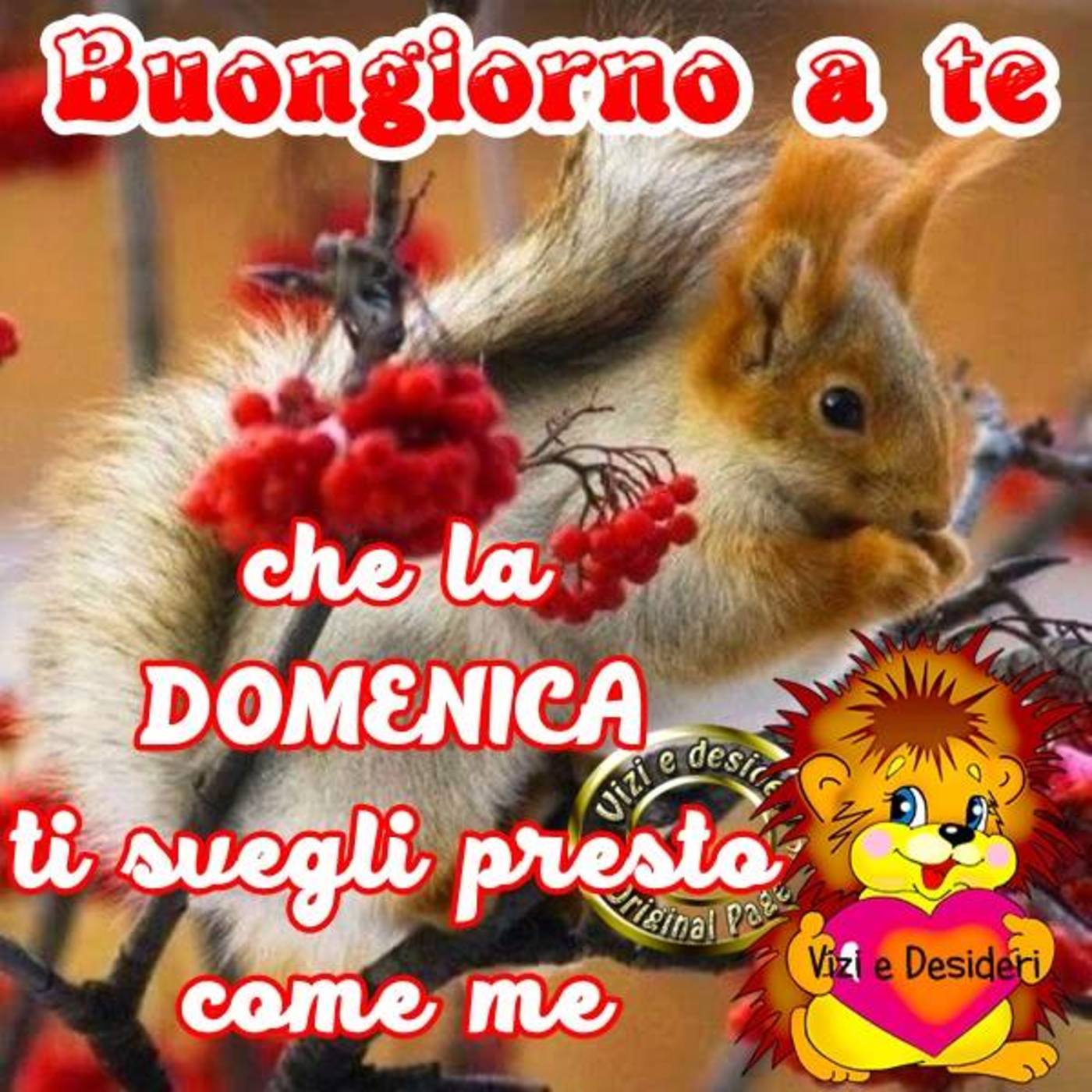 Buona domenica a te (2)