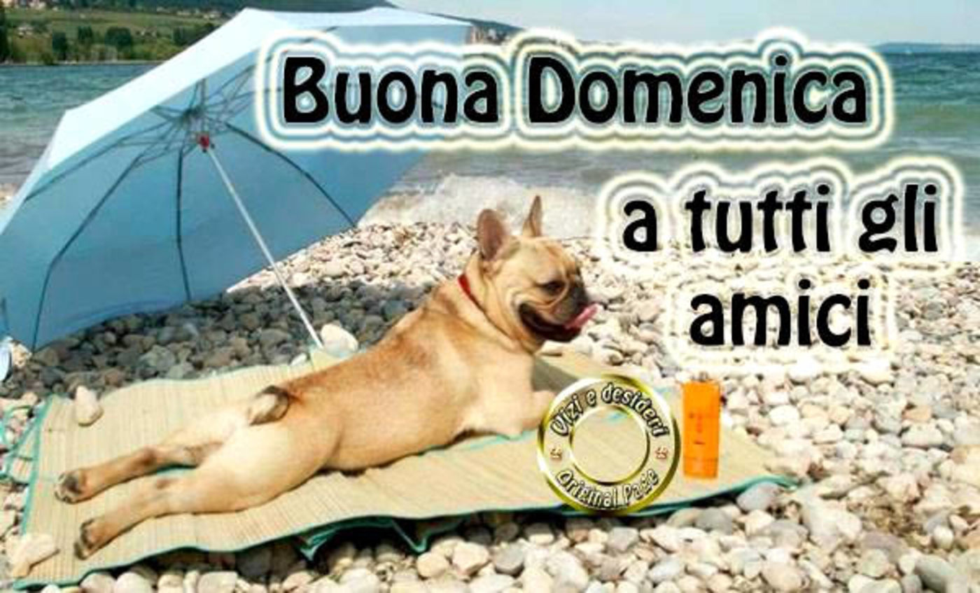 Buona domenica a tutti gli amici (2)