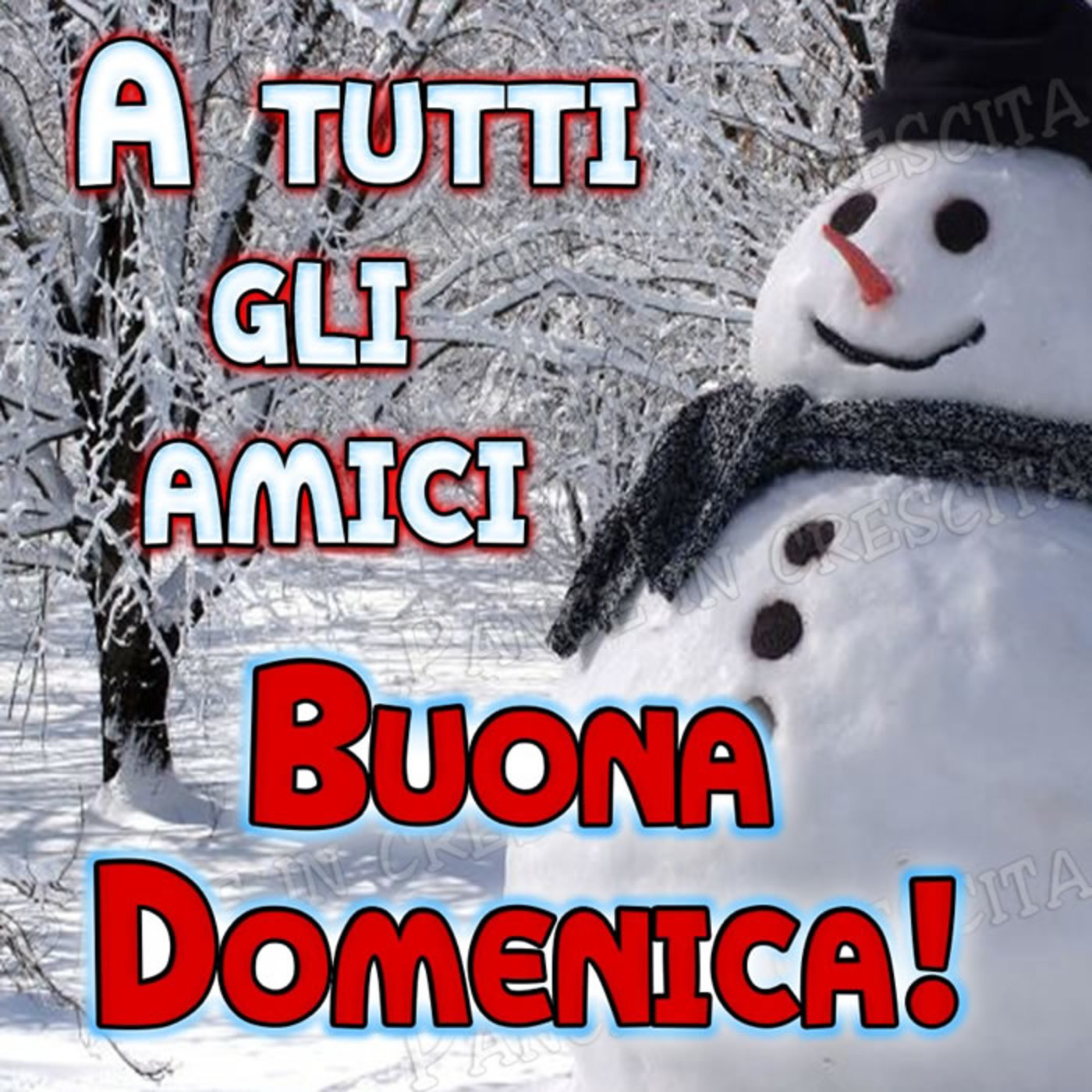 Buona domenica a tutti gli amici