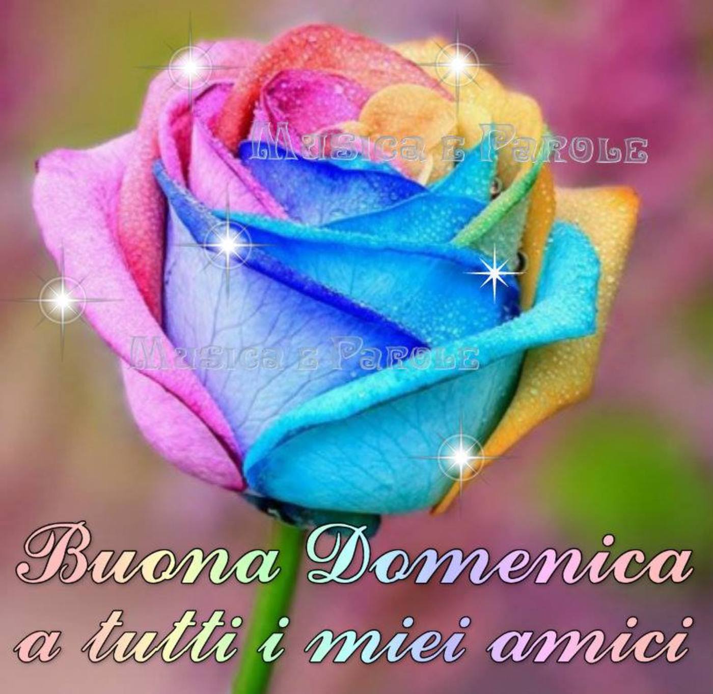 Buona domenica amici miei