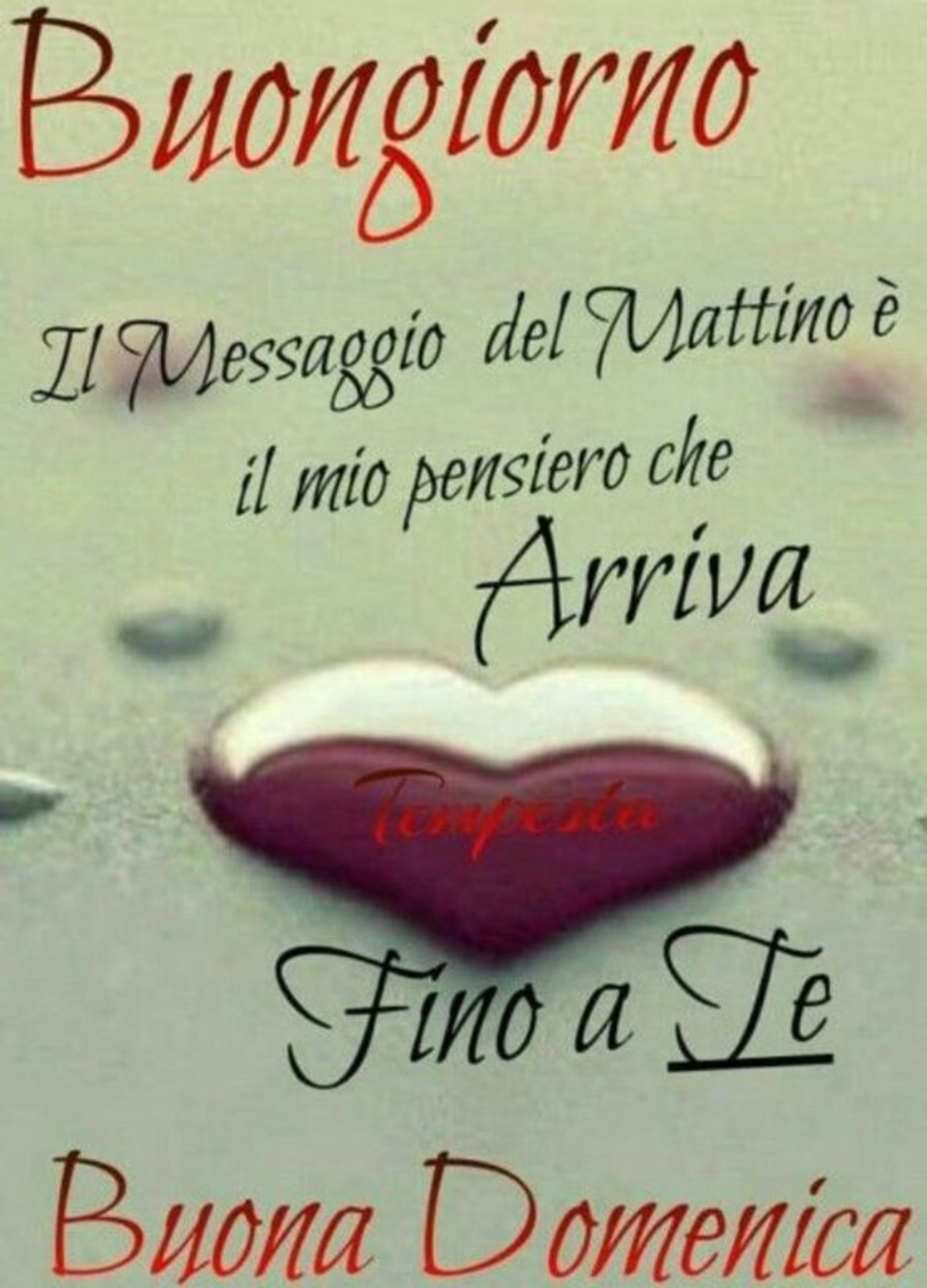 Buona domenica amore (1)