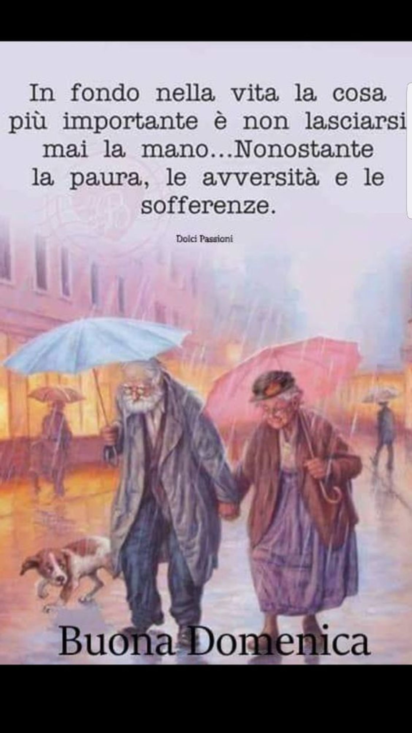 Buona domenica amore (2)