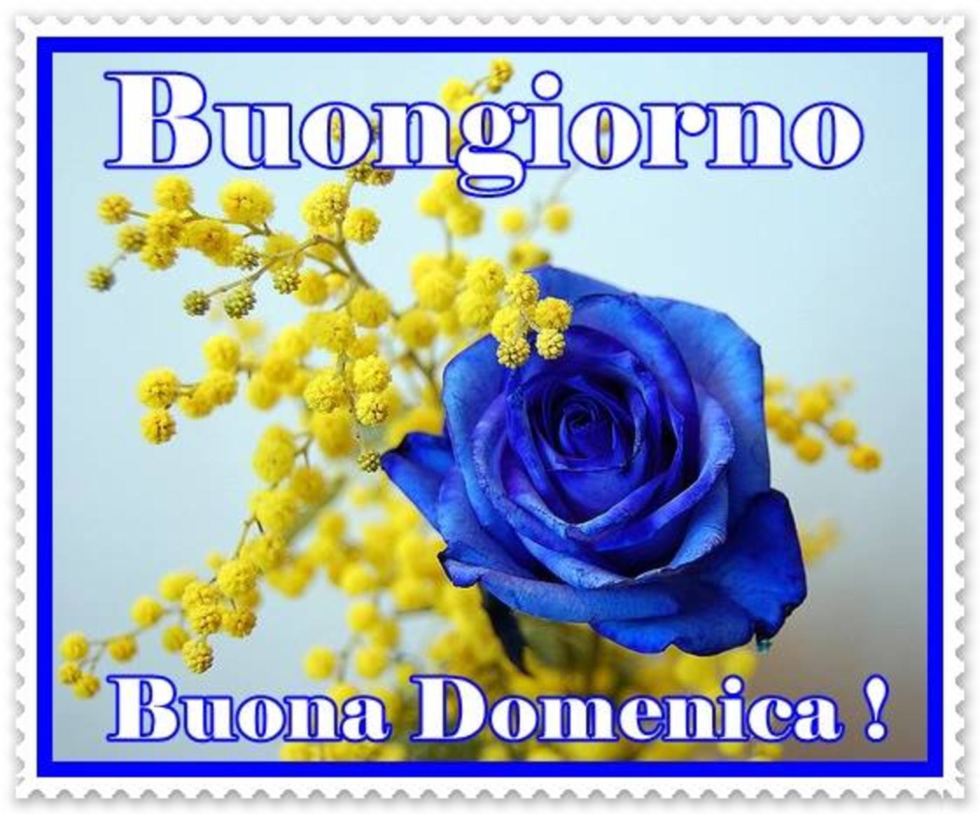 Buona domenica bella a te (2)