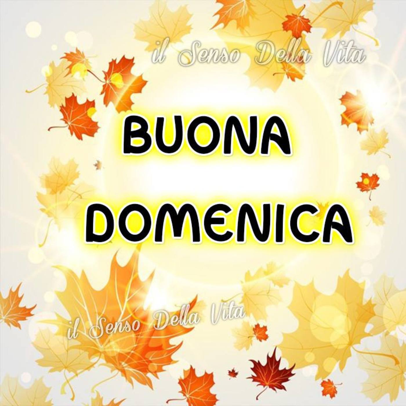 Buona domenica bella a te (5)