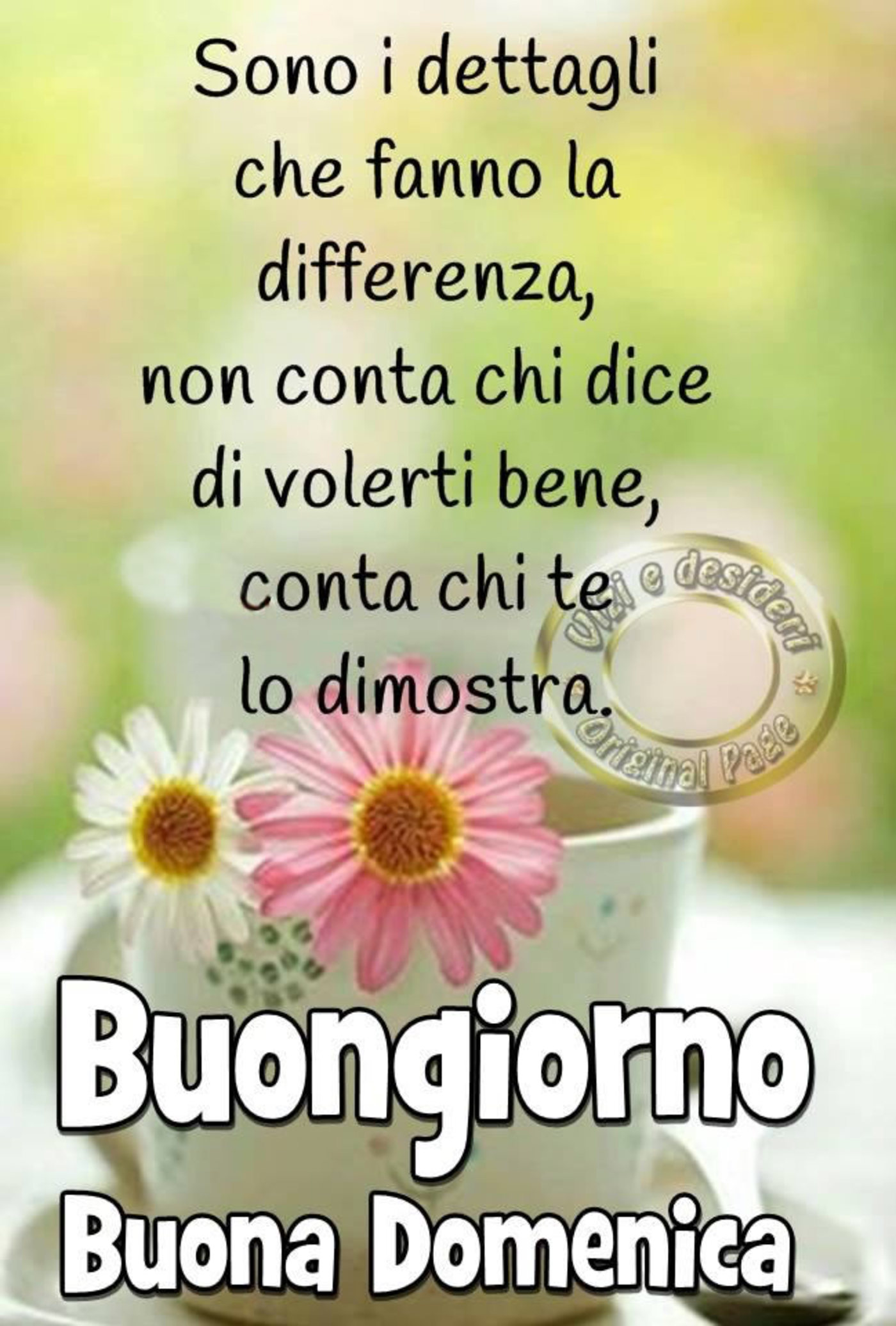 Buona domenica belle frasi (2)