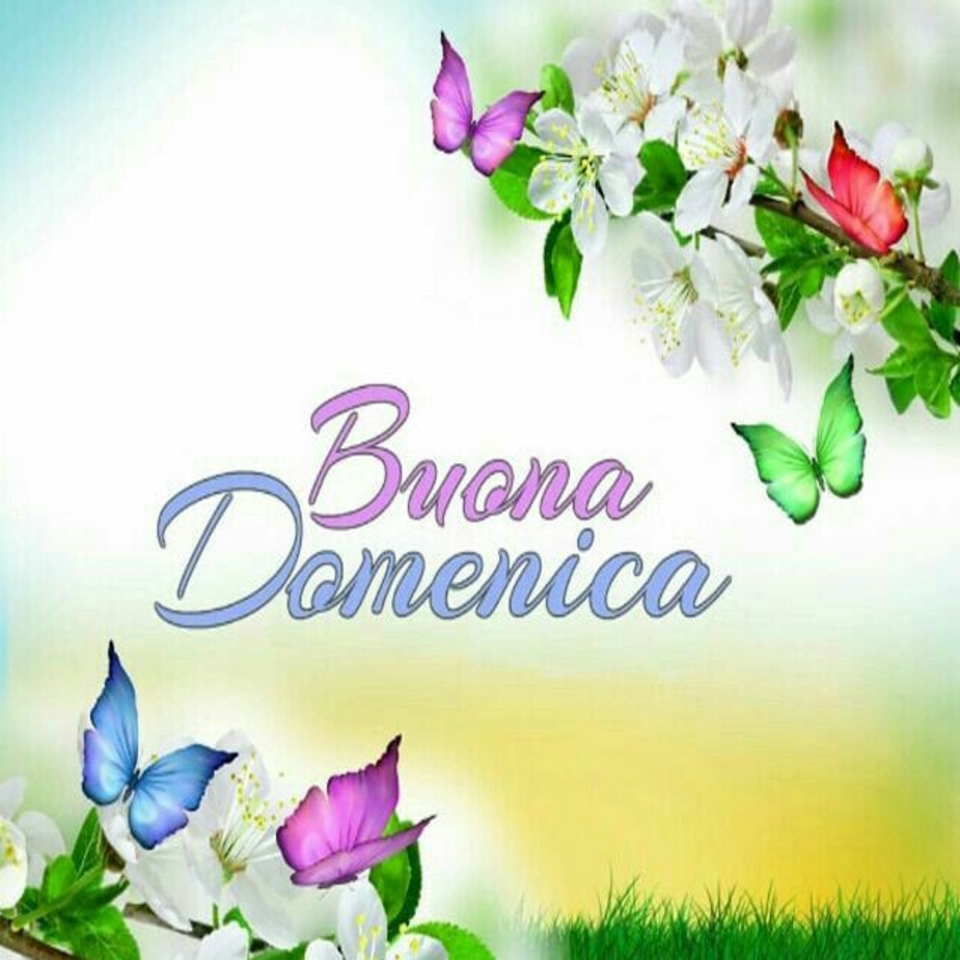 Buona domenica belle immagini (1)