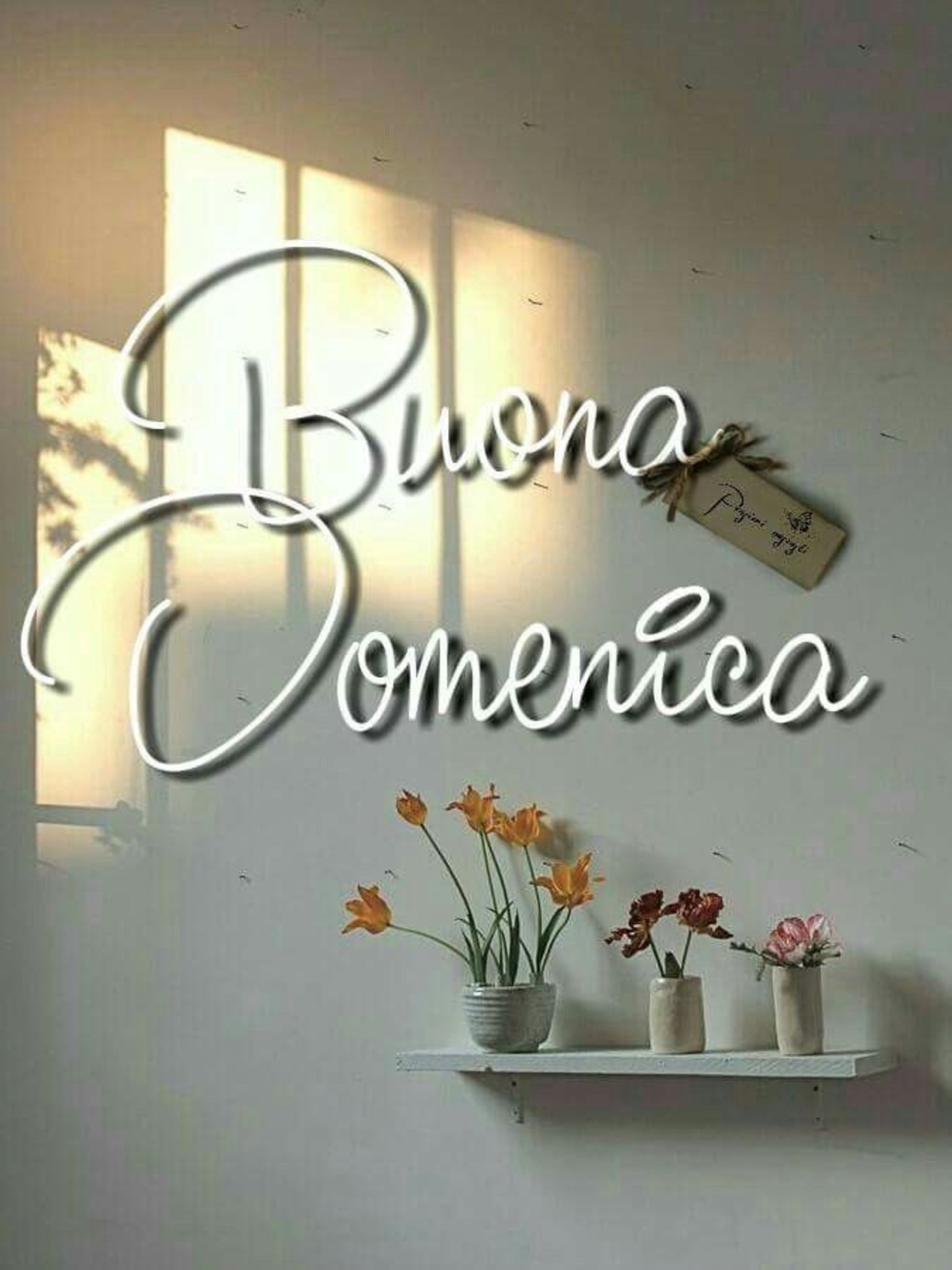 Buona domenica belle immagini (4)