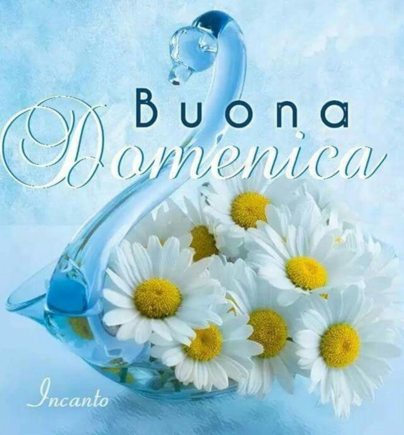 Buona domenica belle immagini (6)