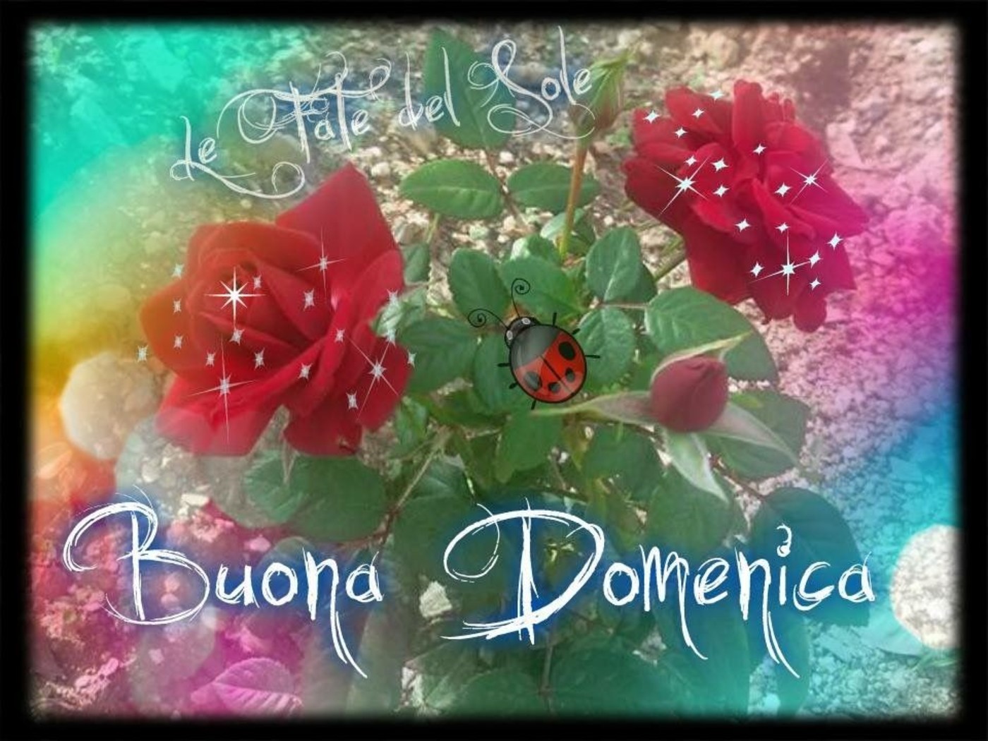 Buona domenica bellissima (1)