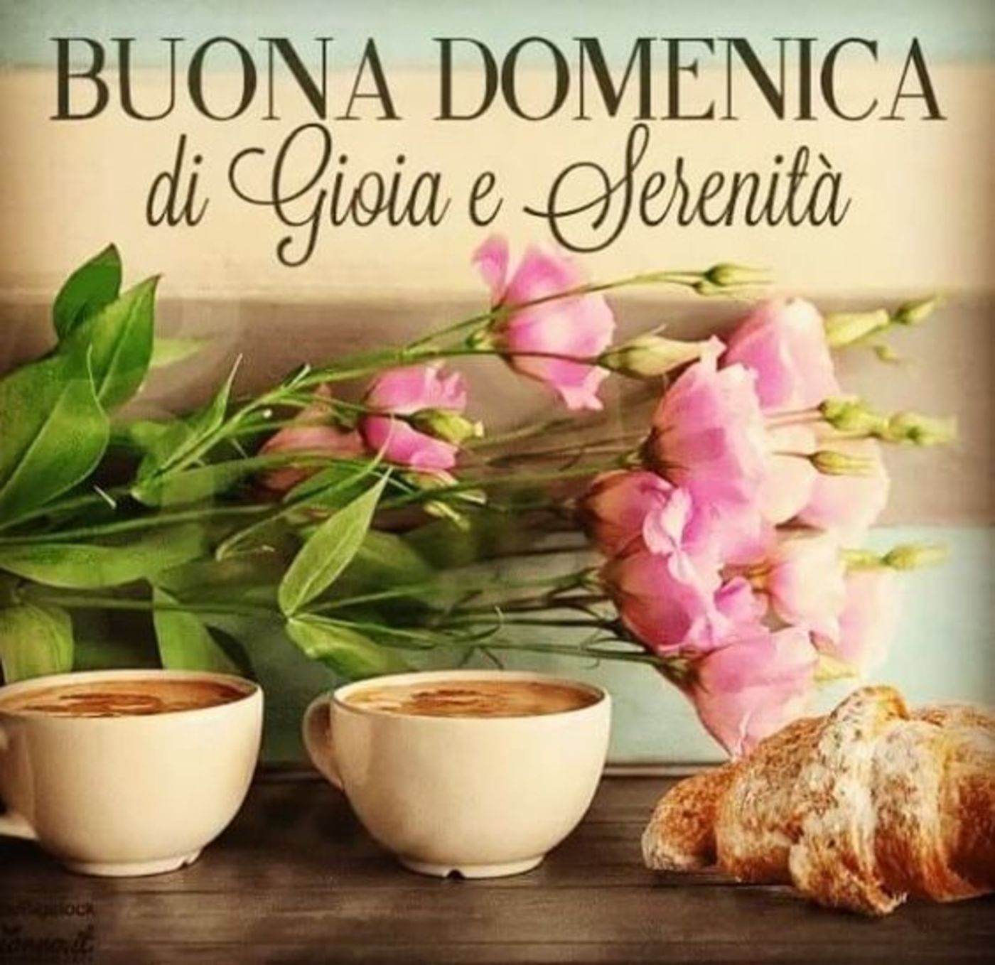 Buona domenica bellissima (6)