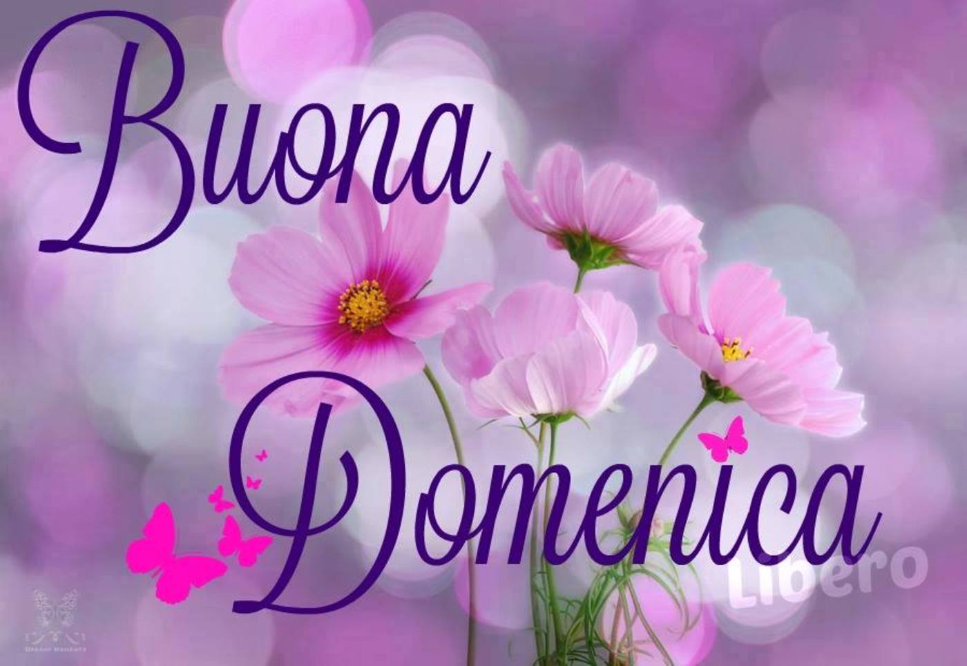 Buona domenica bellissime immagini (4)