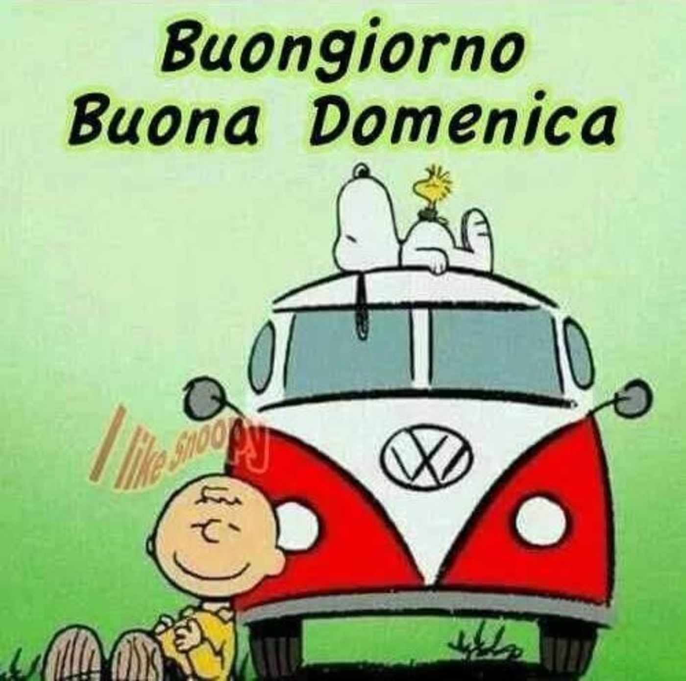 Buona domenica con Snoopy (2)