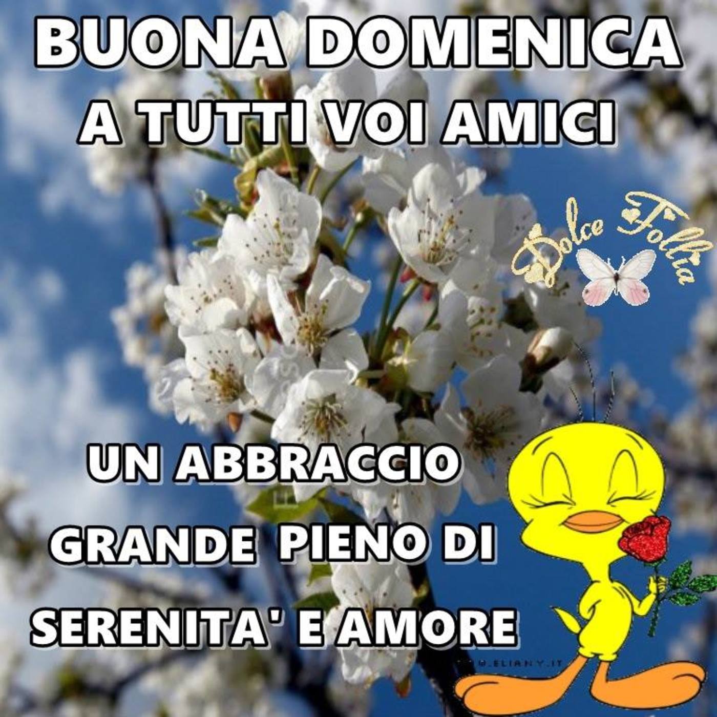 Buona domenica con abbraccio (2)