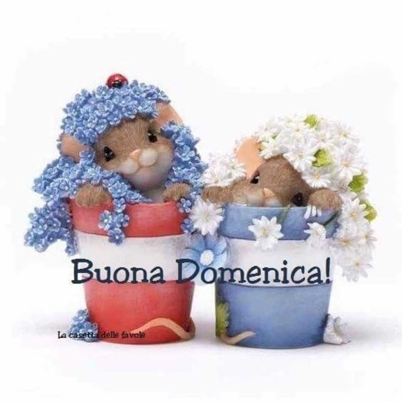 Buona domenica con animali (2)