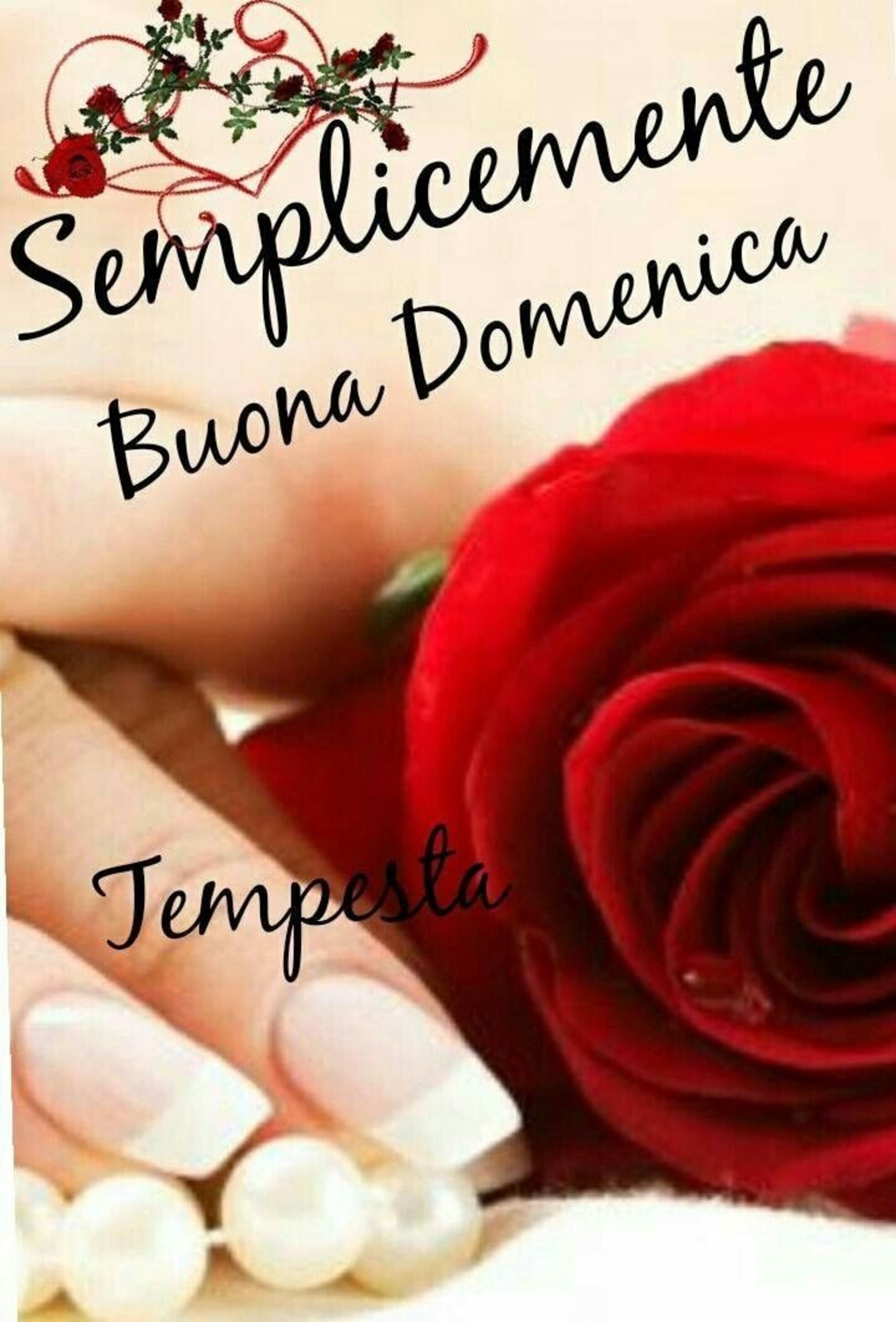 Buona domenica con bei fiori (1)