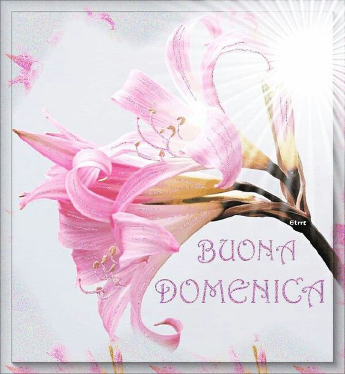 Buona domenica con bei fiori (10)