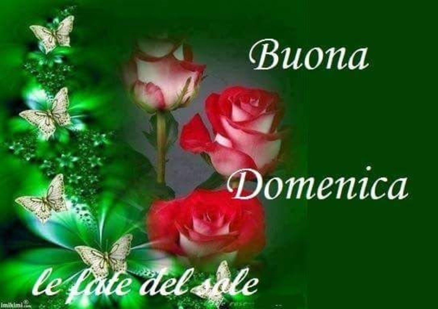 Buona domenica con bei fiori (11)