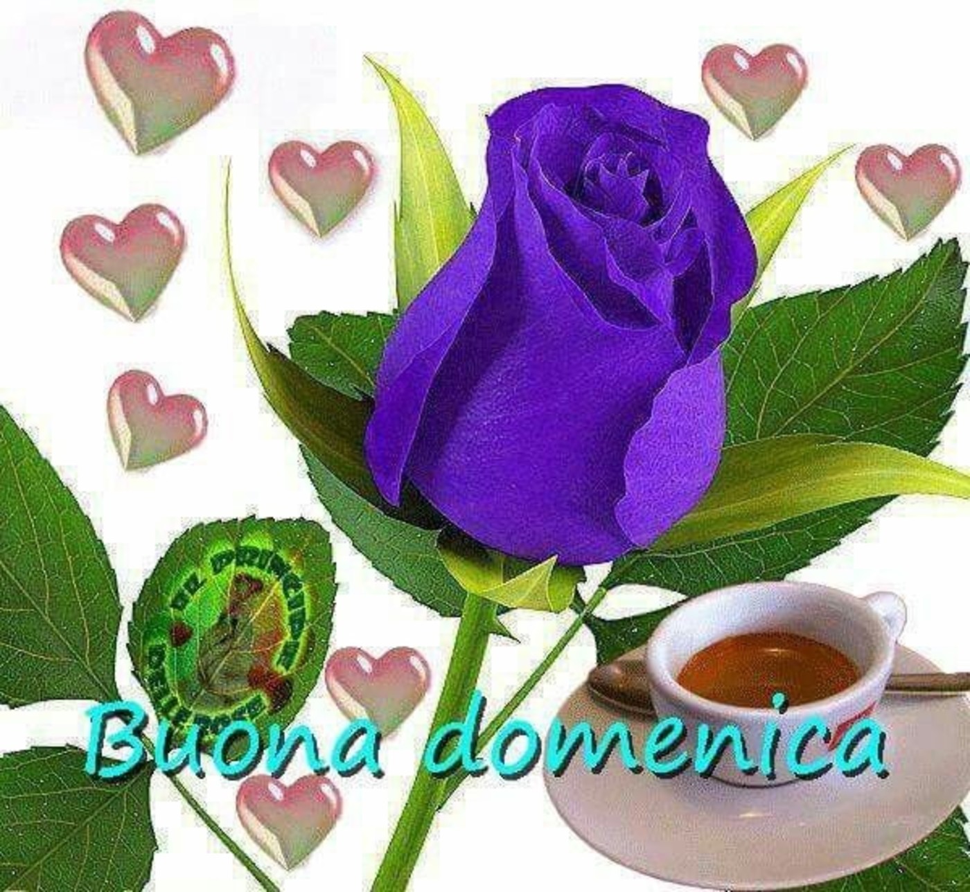 Buona domenica con bei fiori (3)