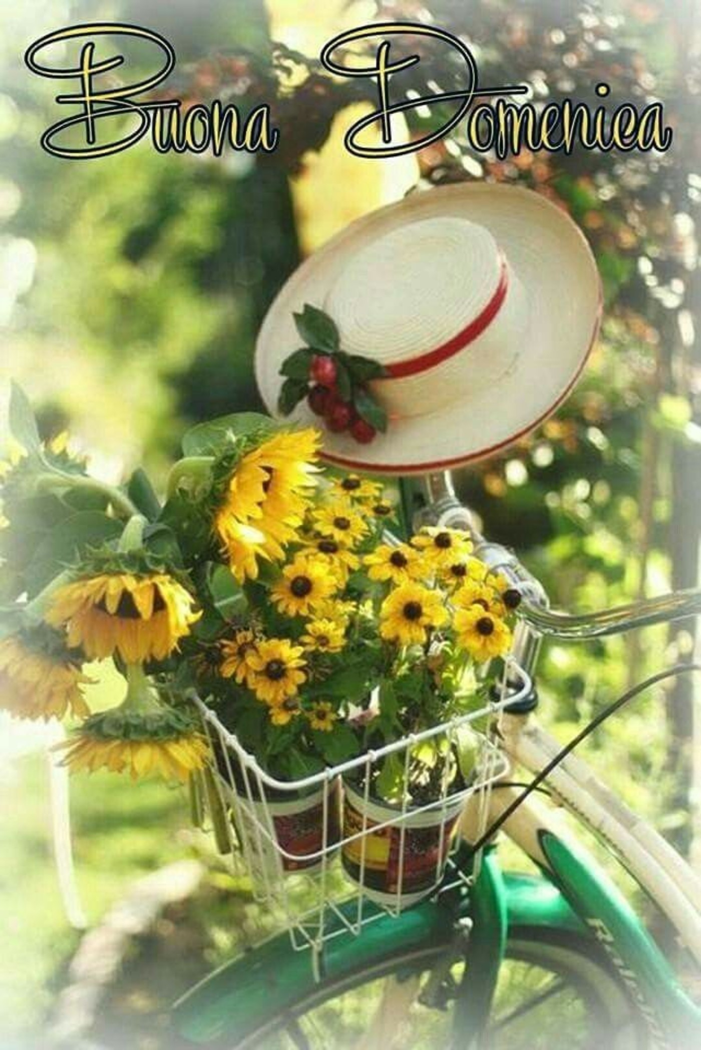 Buona domenica con bei fiori (6)