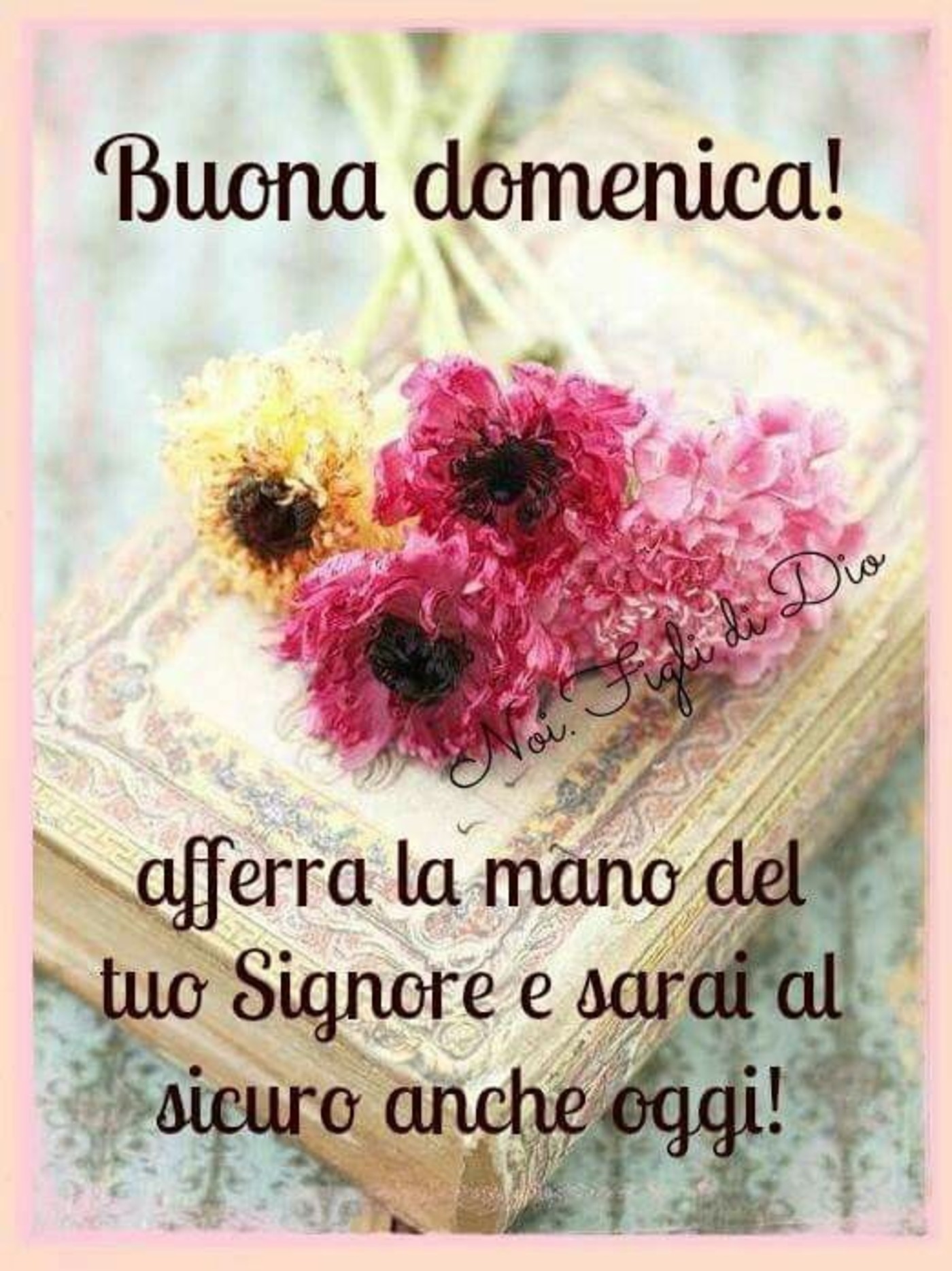 Buona Domenica Con Bei Fiori 9 Buongiornoate It