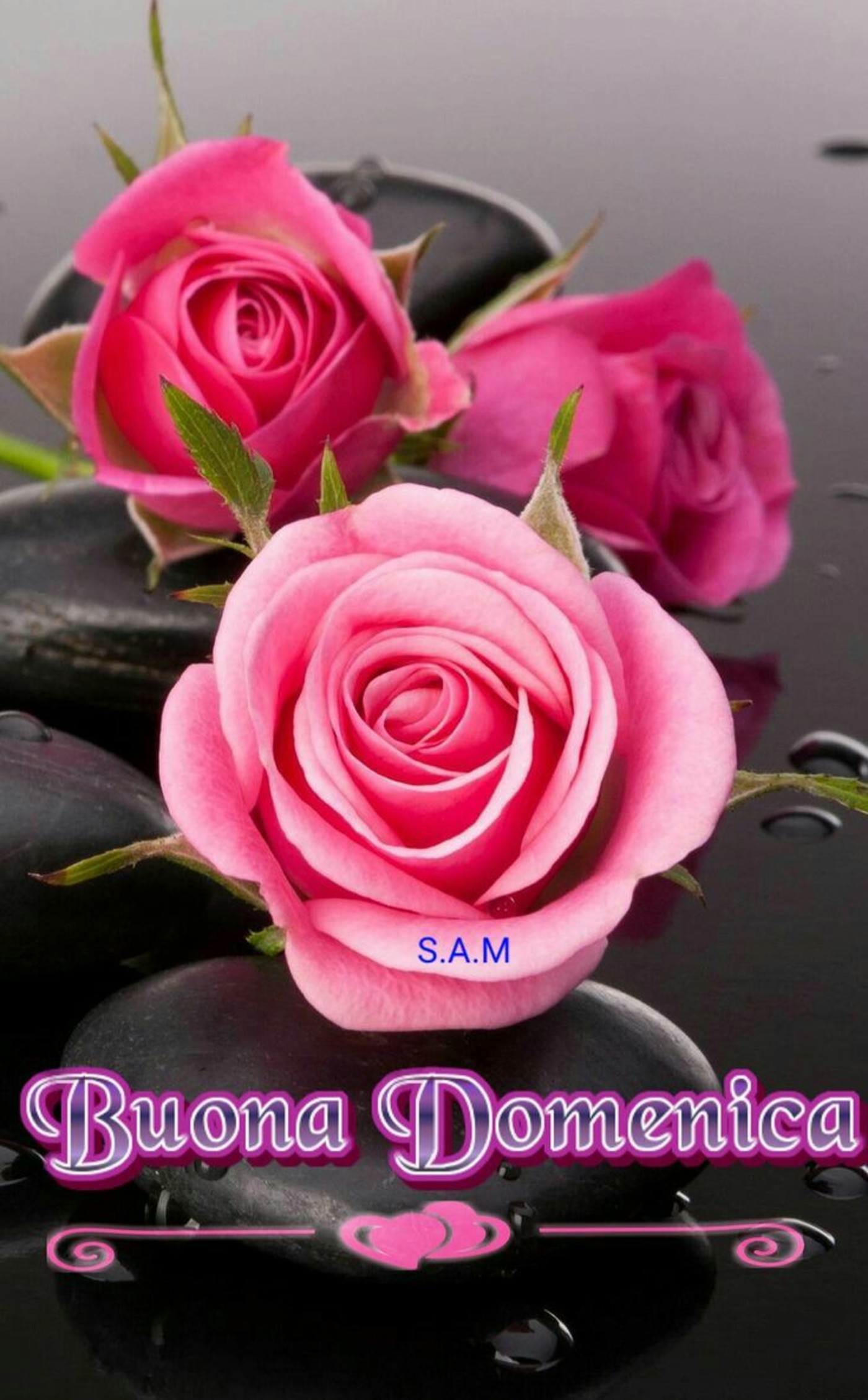 Buona domenica con fiori (2)