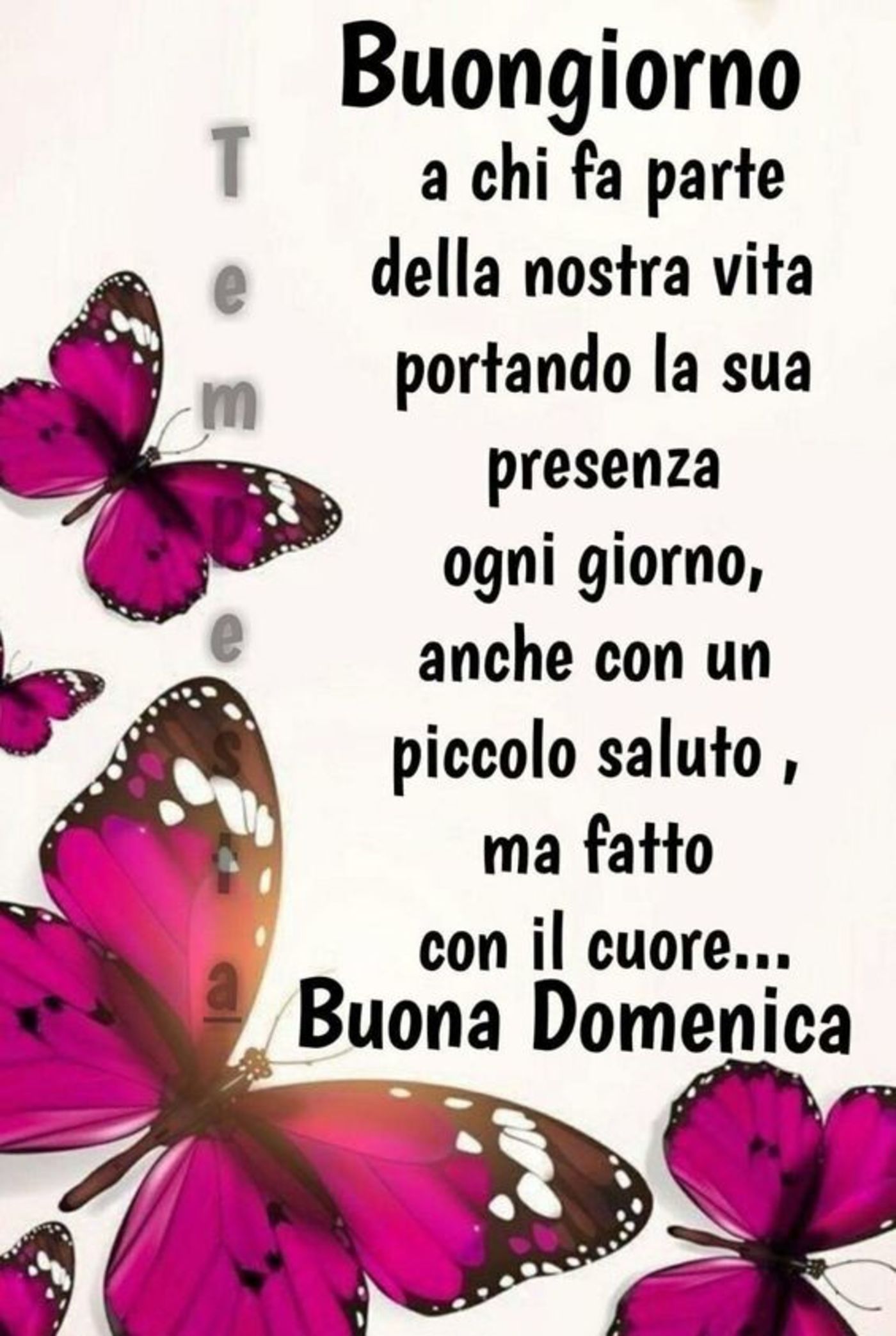 Buona domenica con frasi (5)