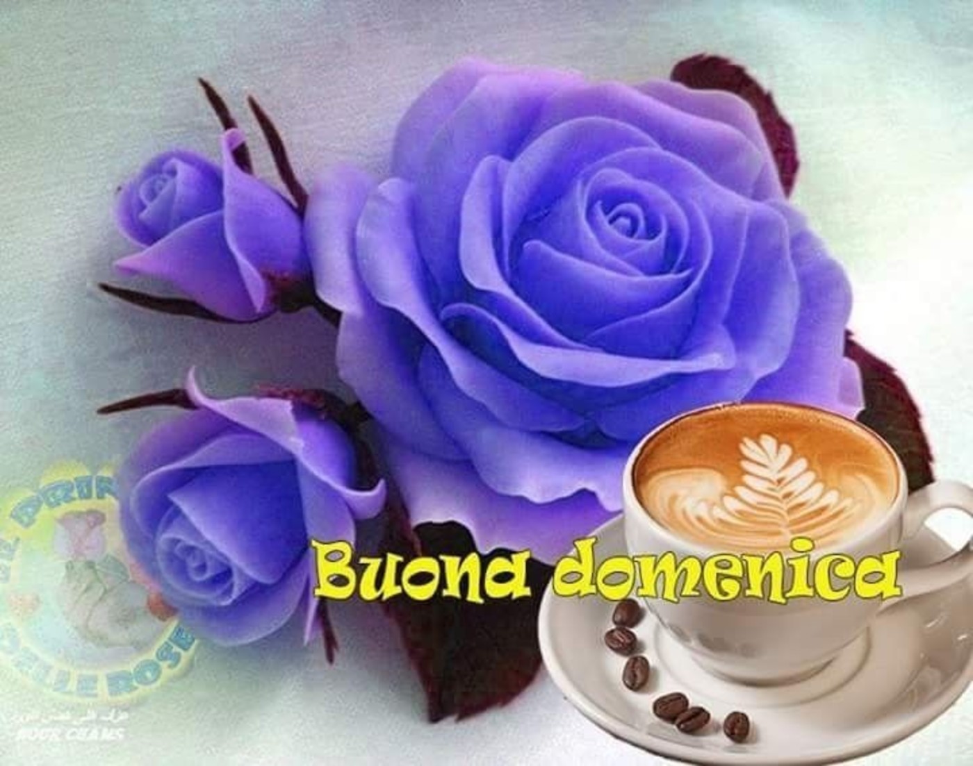 Buona domenica con i fiori (3)