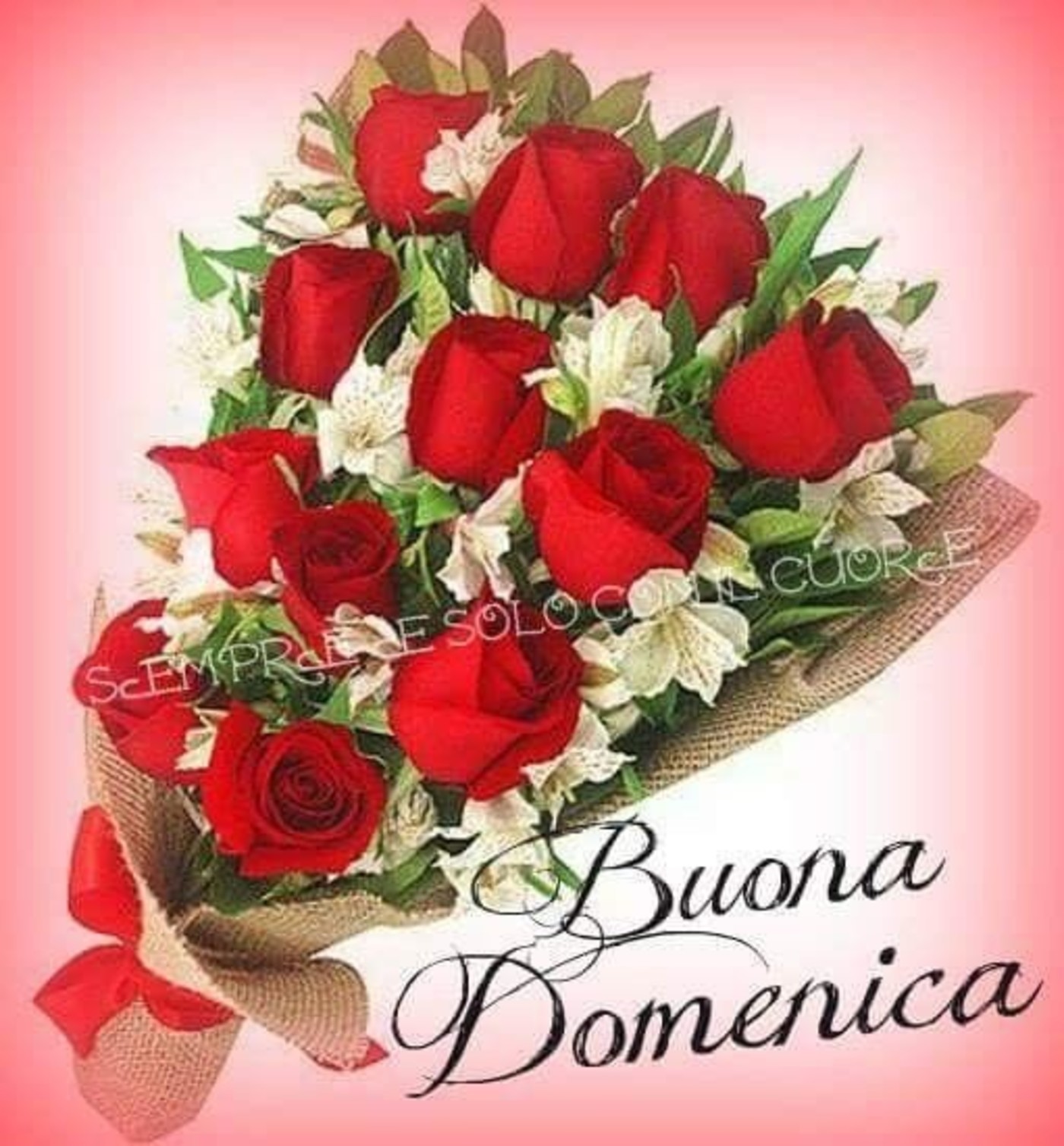 Buona domenica con i fiori (5)