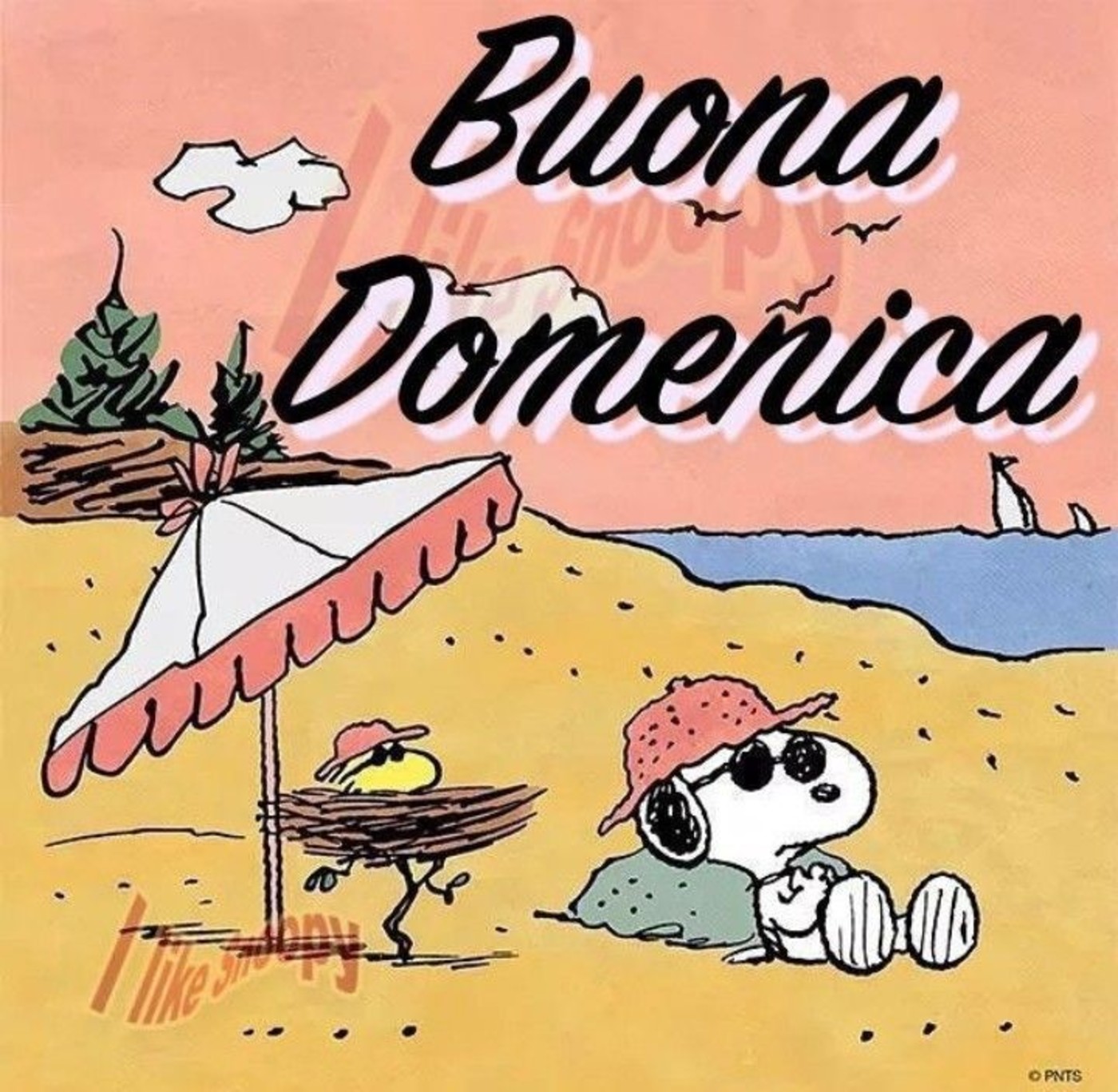 Buona domenica con il caldo (3)