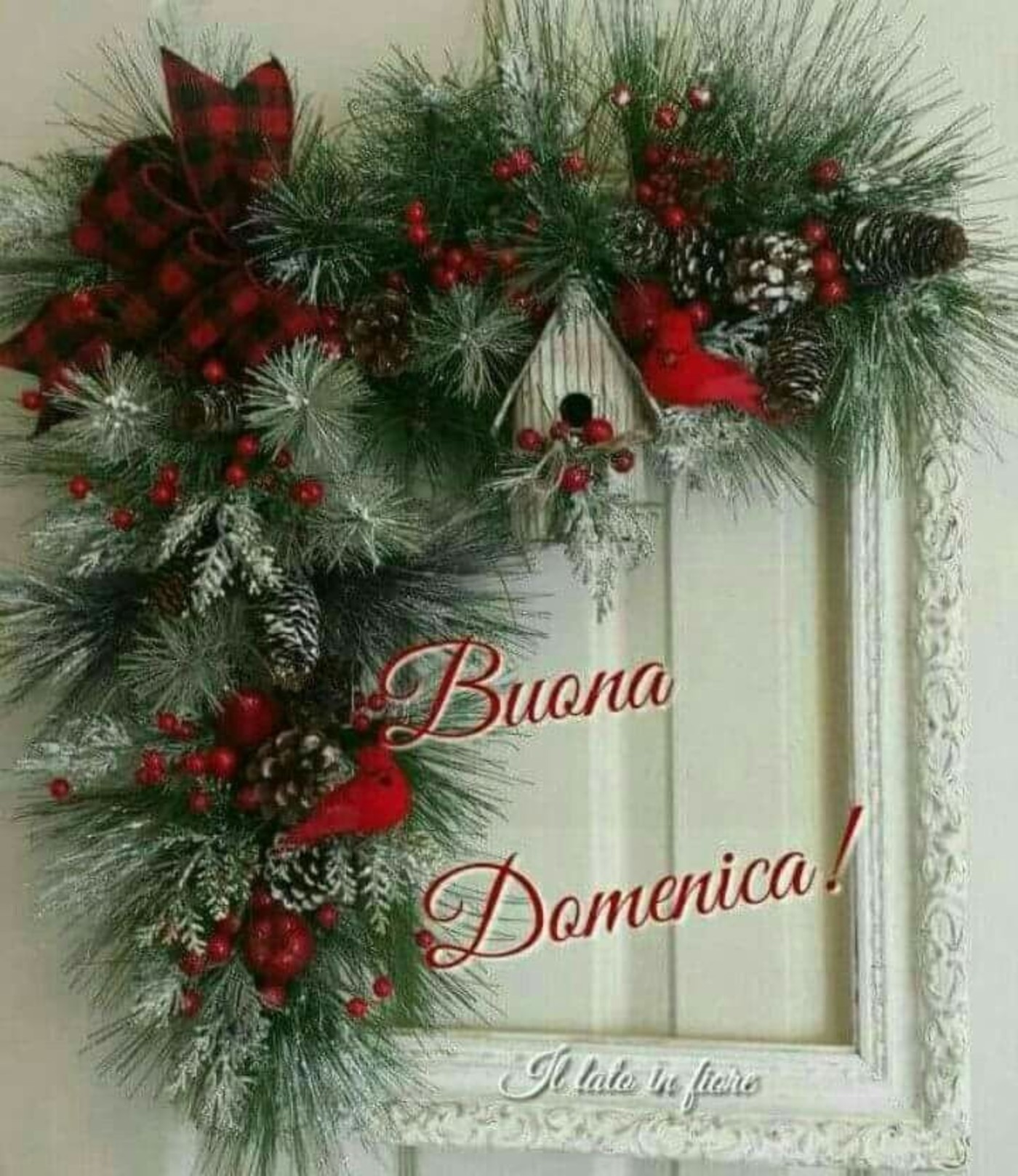 Buona domenica da mandare agli amici (1)