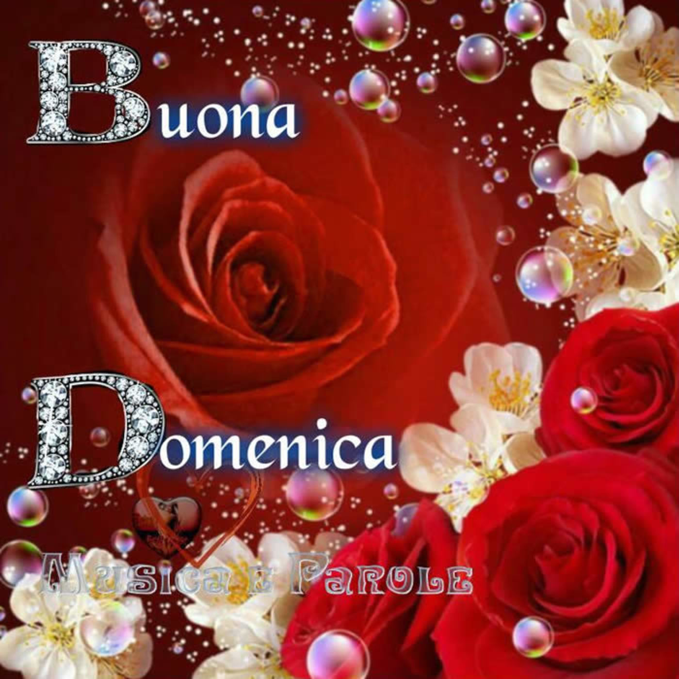 Buona domenica da mandare agli amici (2)