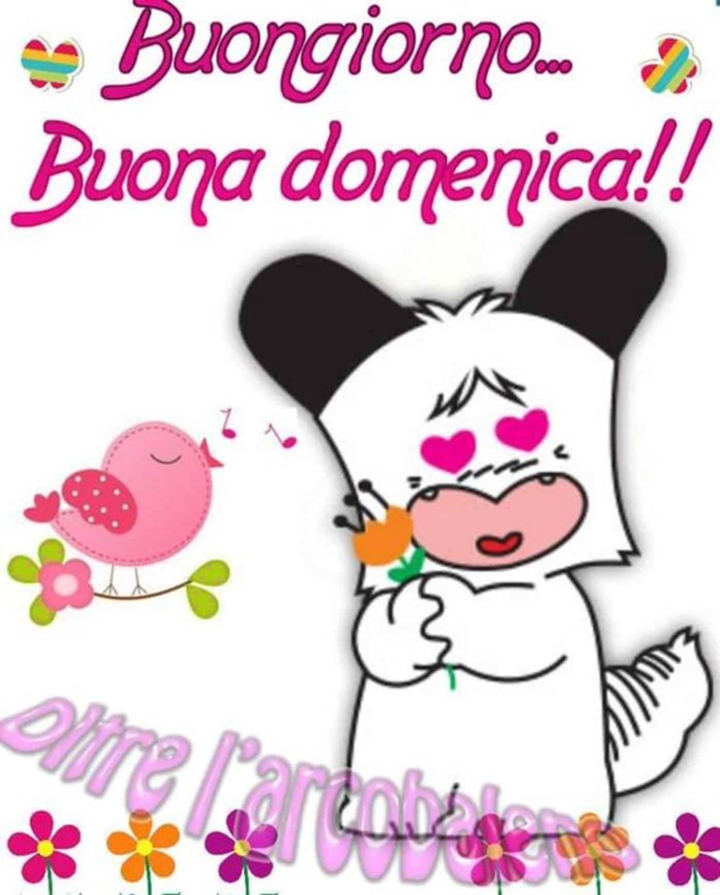 Buona domenica di cuore (2)