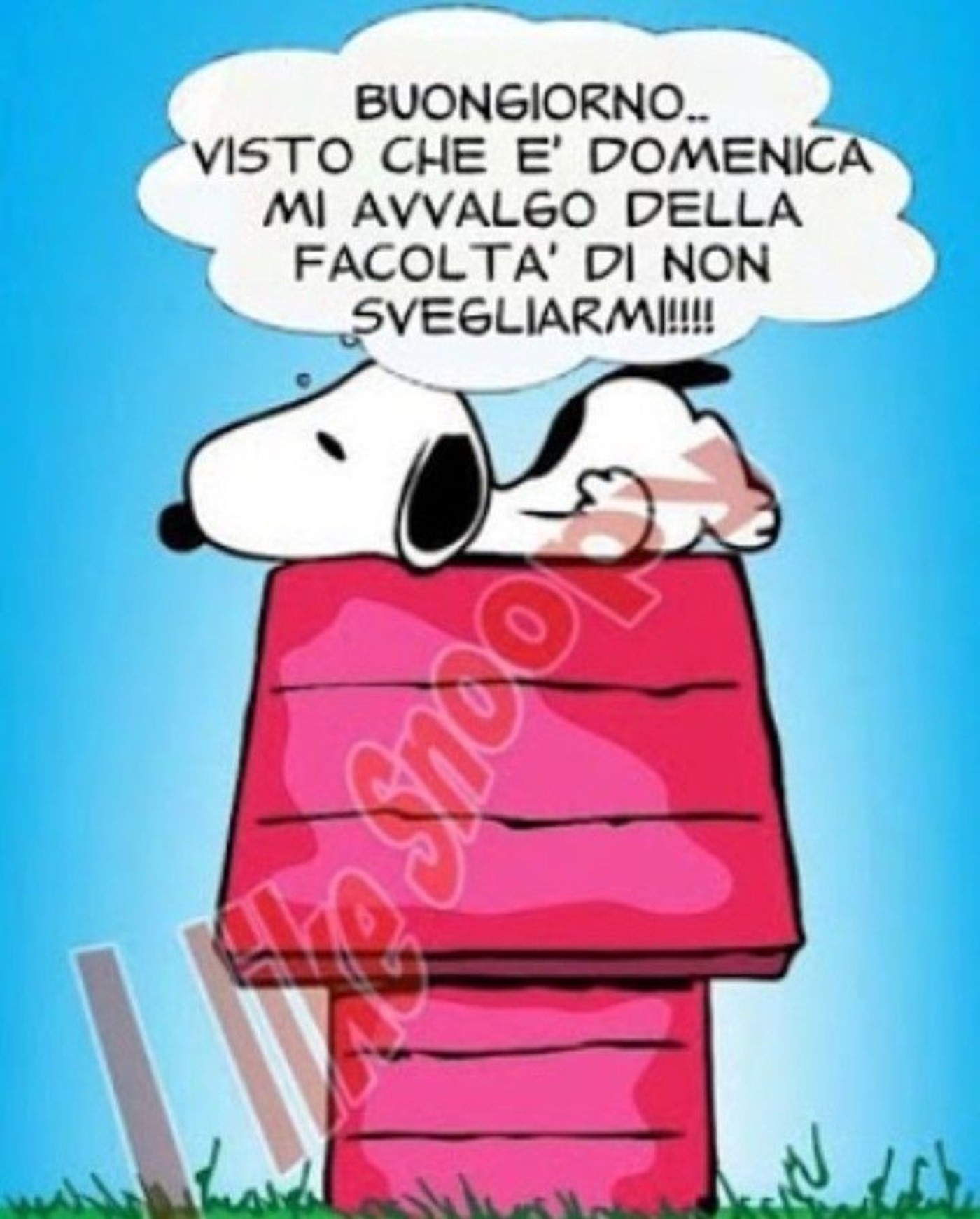 Buona domenica divertente con Snoopy