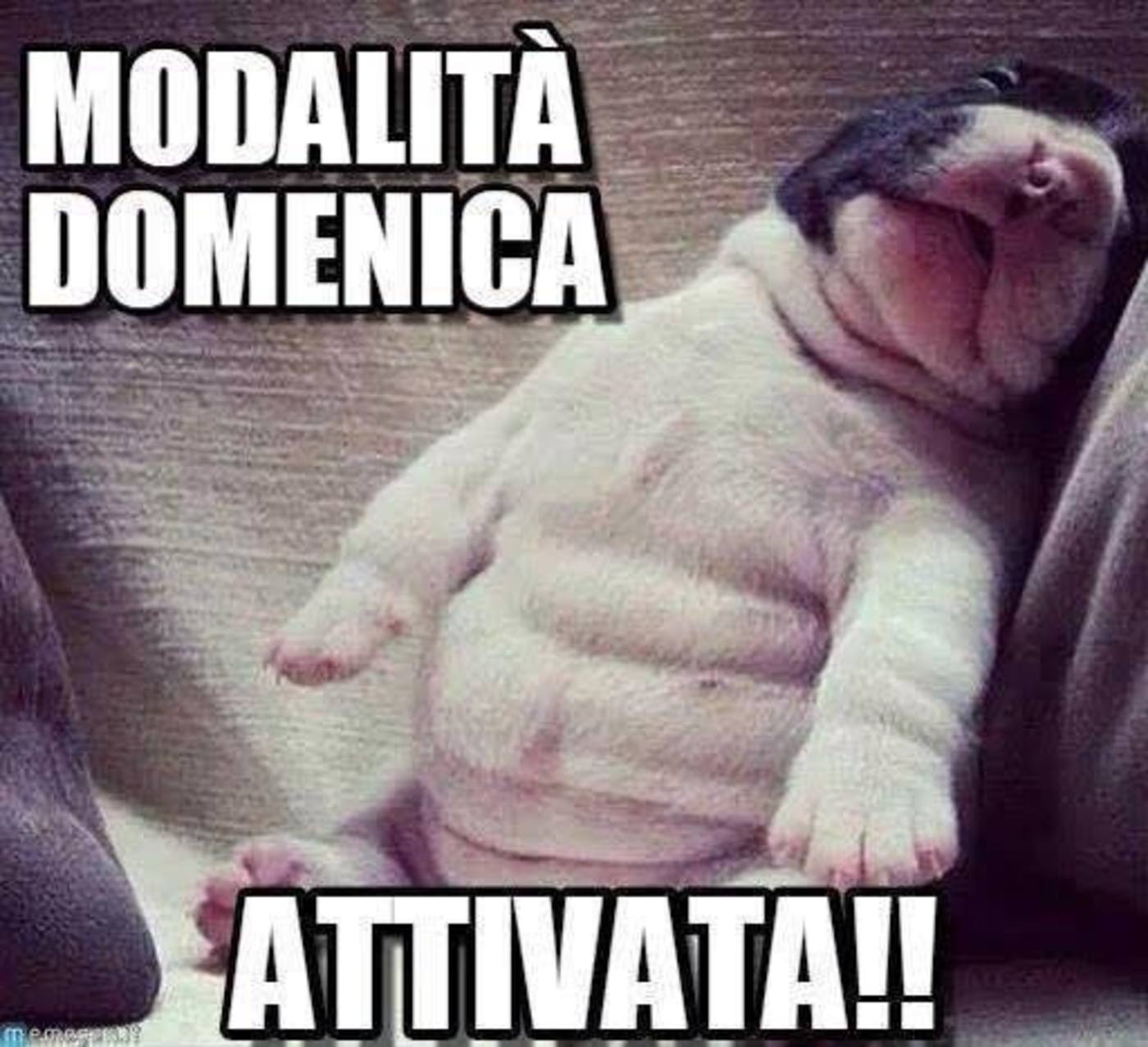 Buona domenica divertente