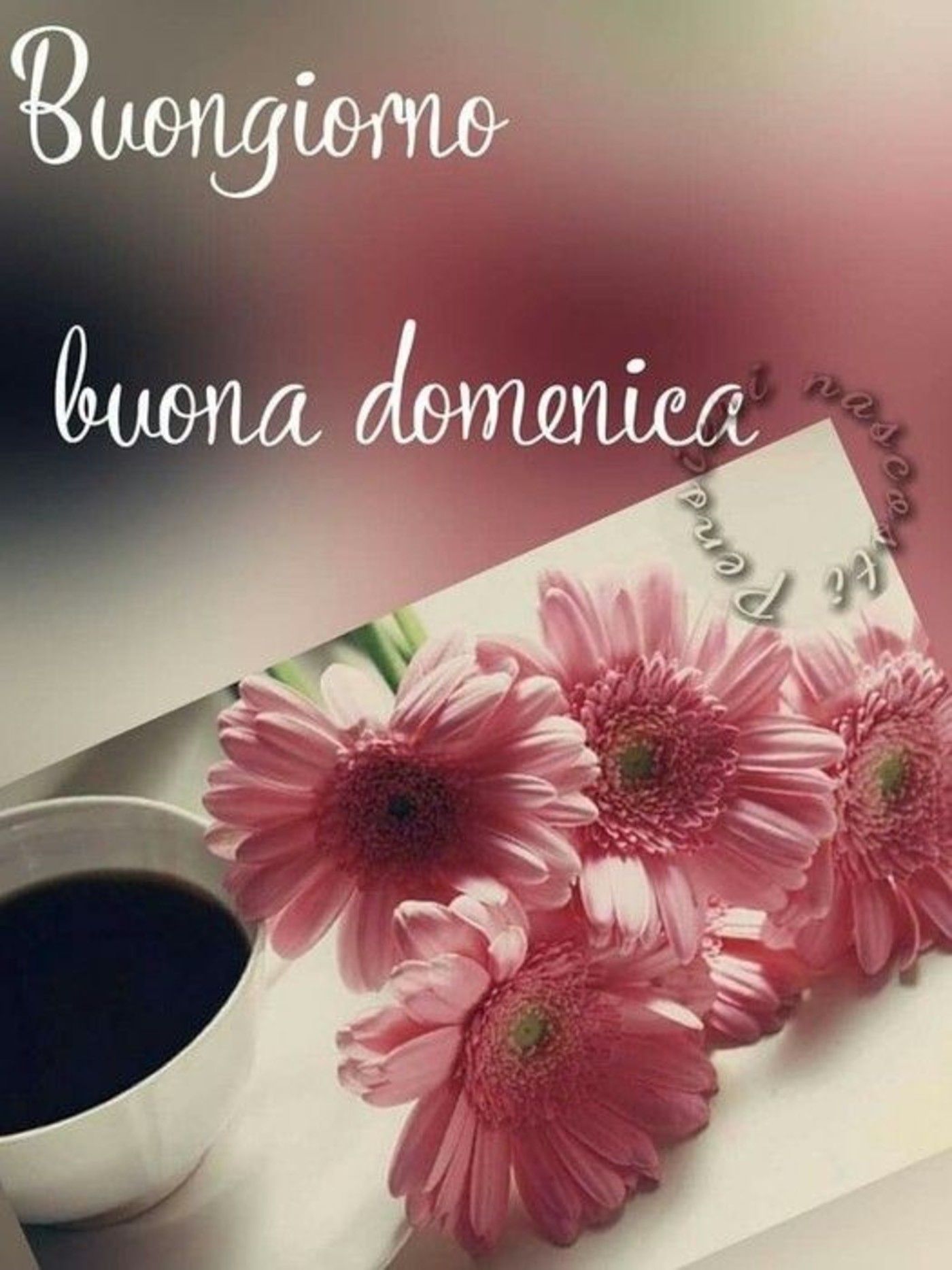 Buona domenica e buona giornata