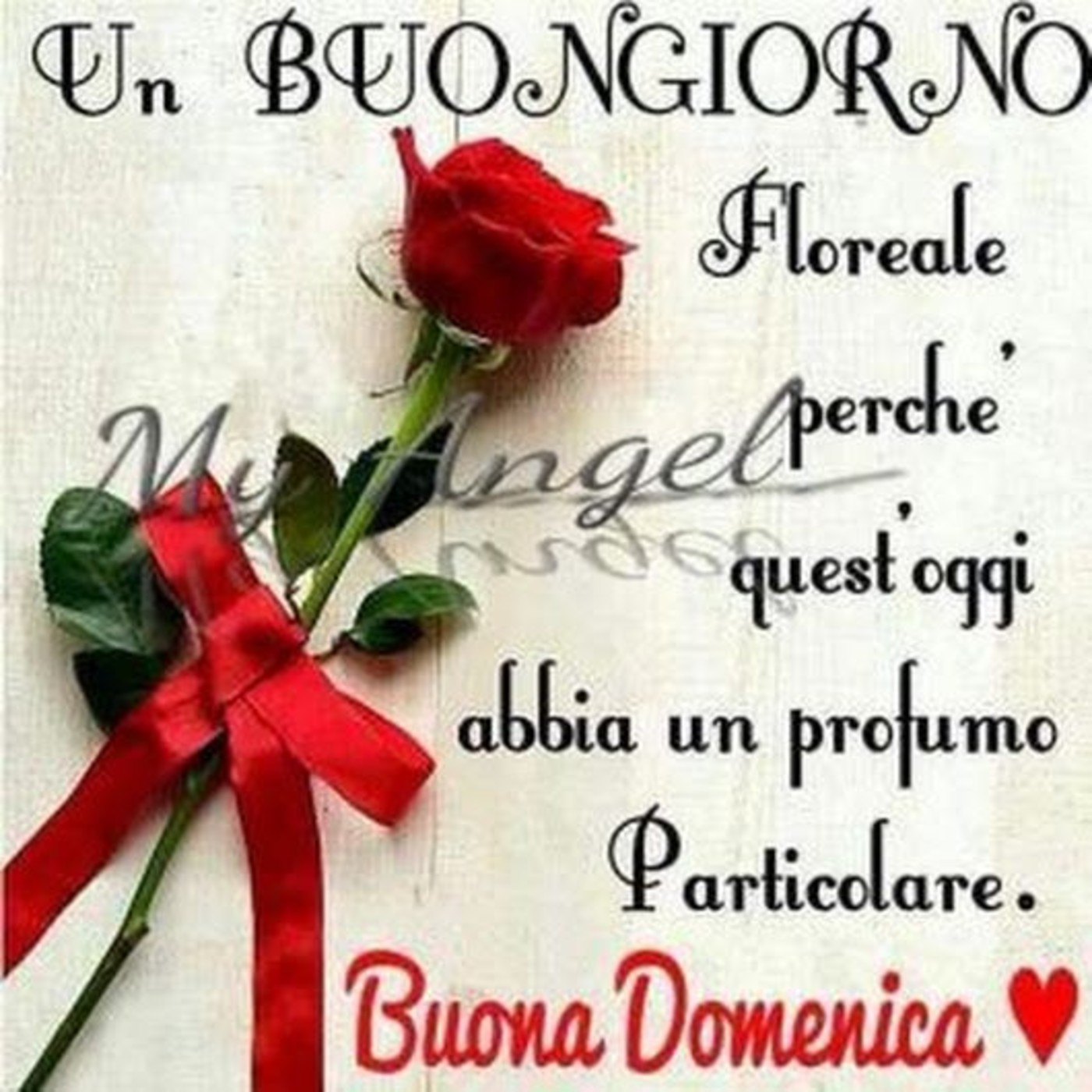 Buona domenica floreale (5)