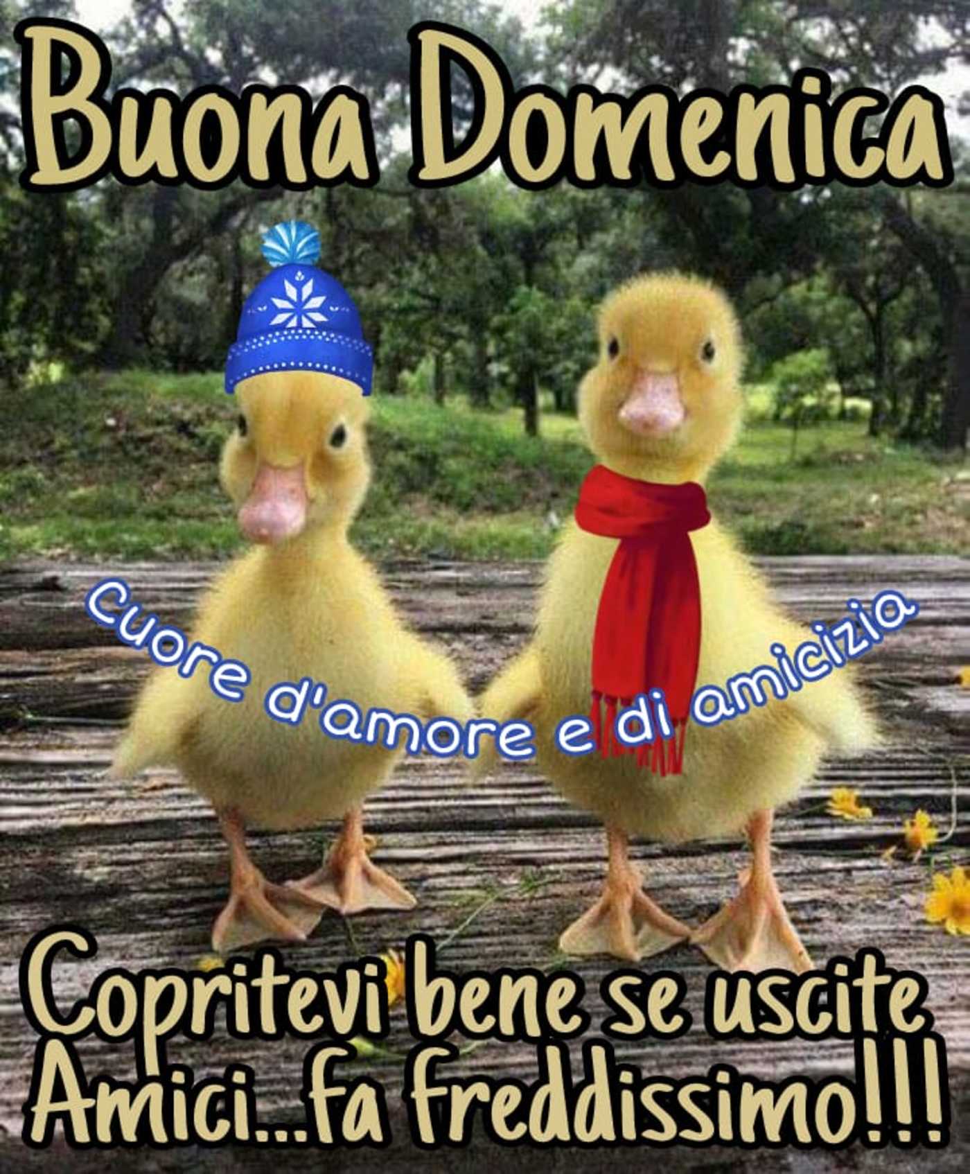 Buona domenica fredda