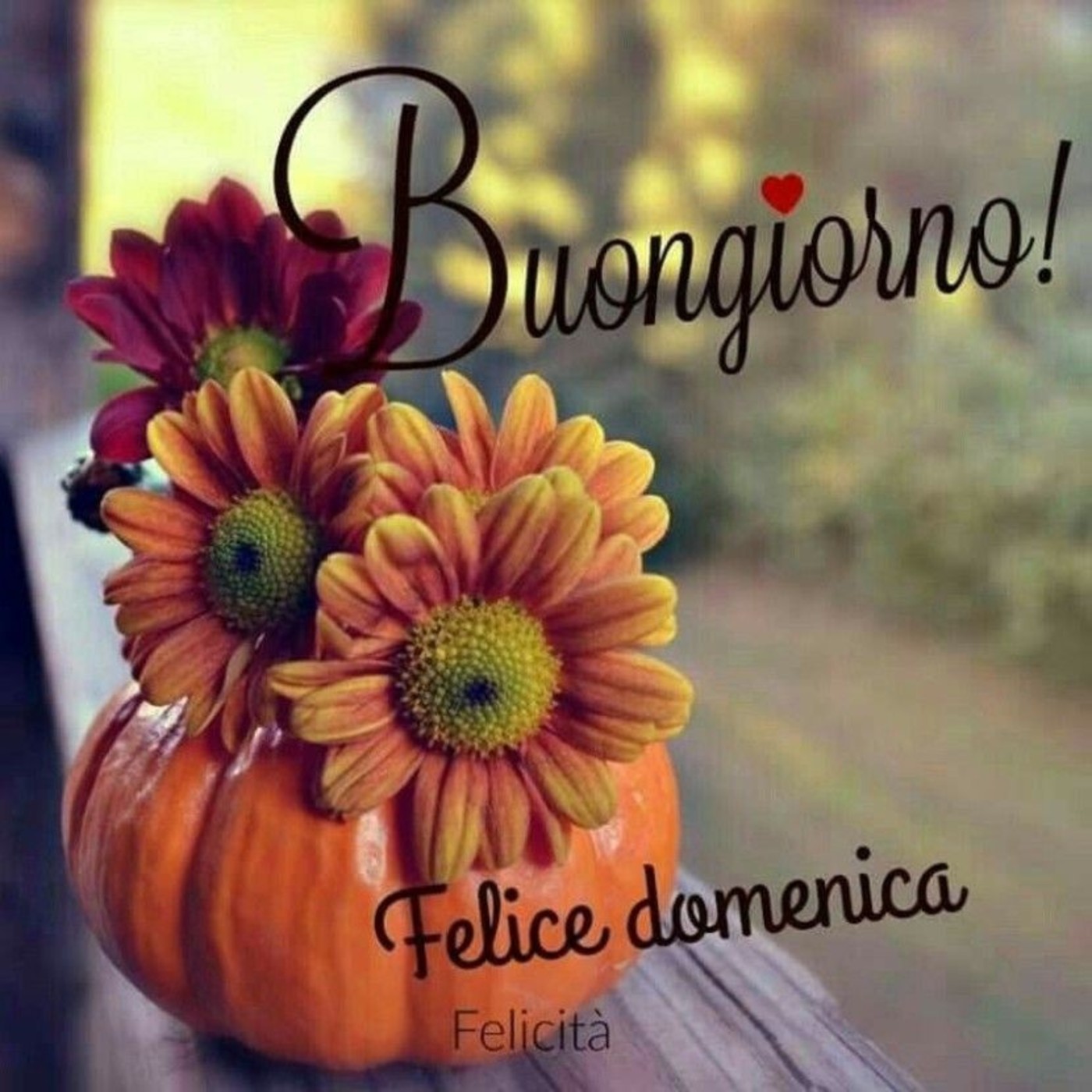 Buona domenica immagini buongiorno (2)