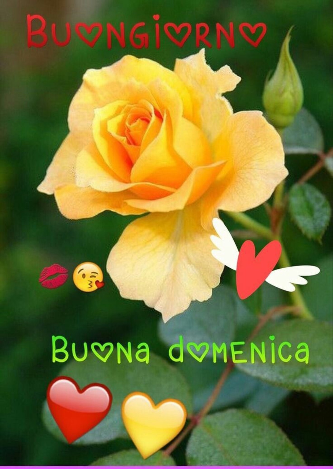 Buona domenica immagini con fiori (5)