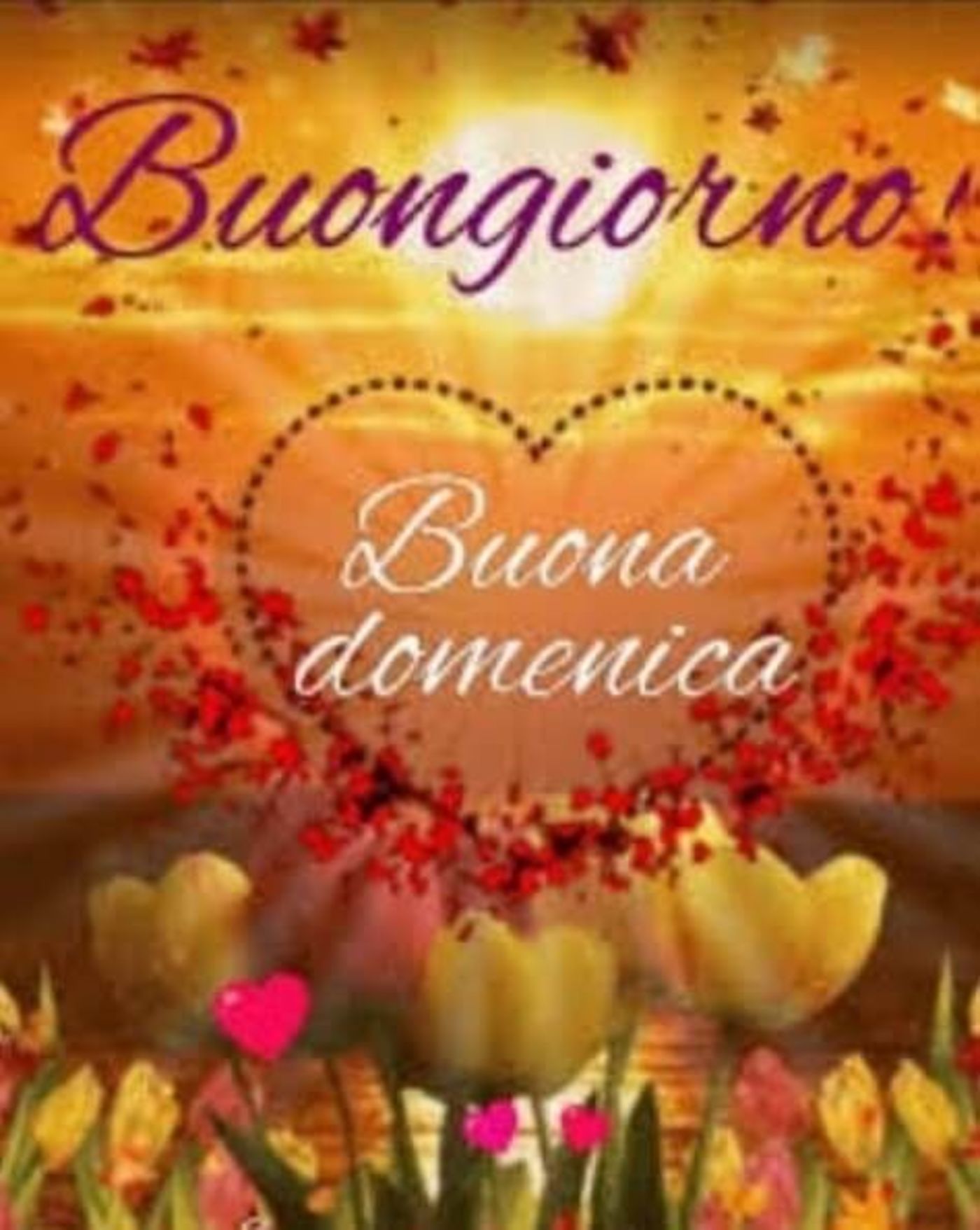 Buona domenica immagini nuove (1)