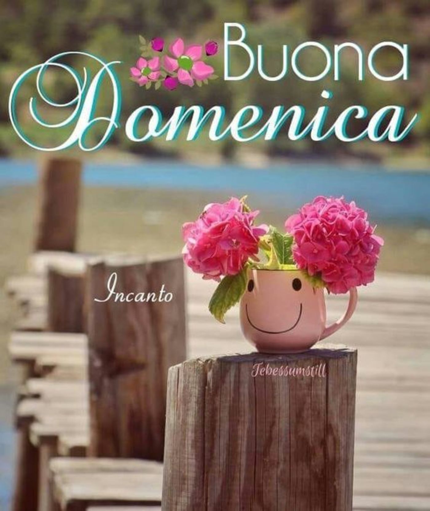 Buona domenica immagini per whatsapp (6)