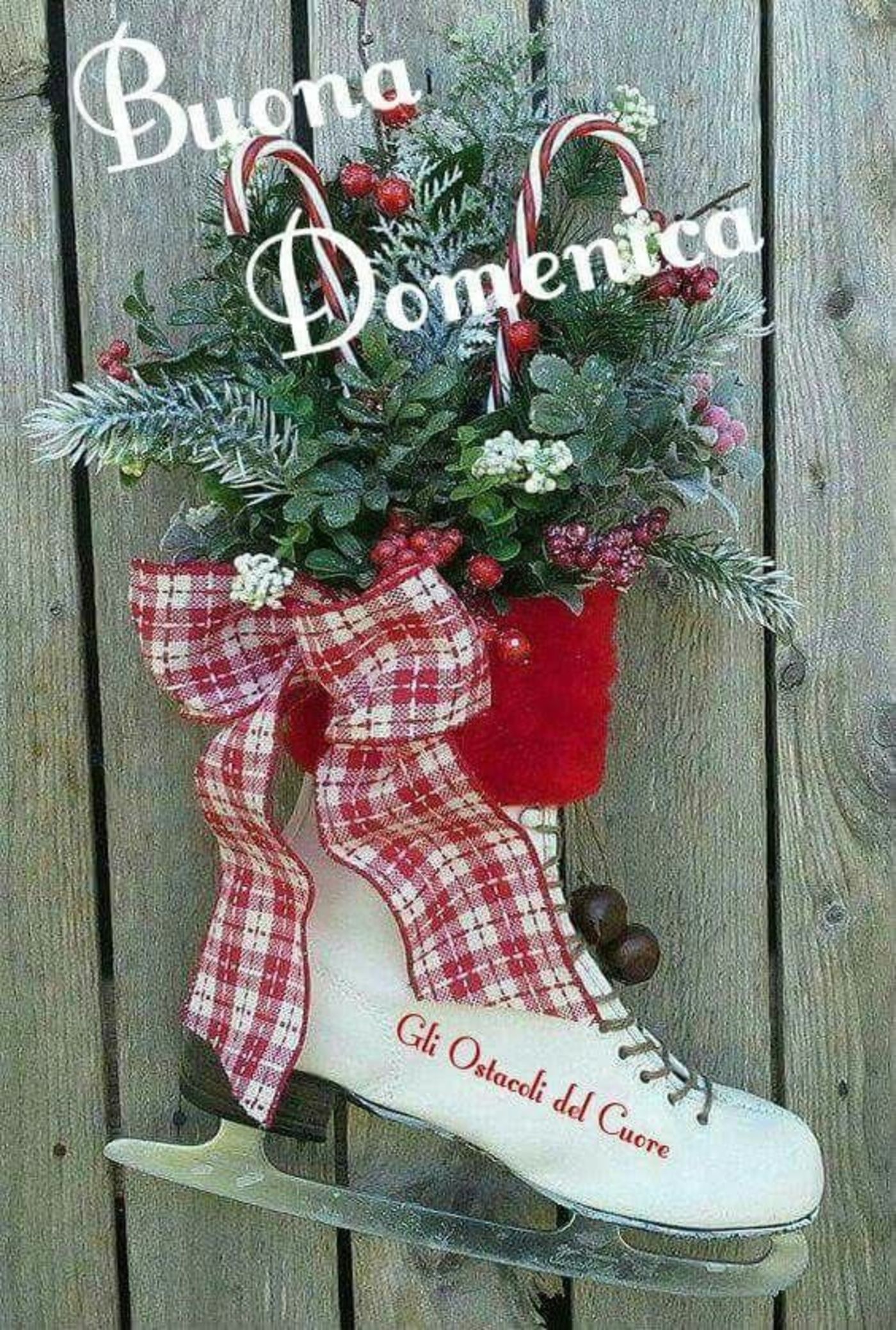 Buona domenica invernale (2)