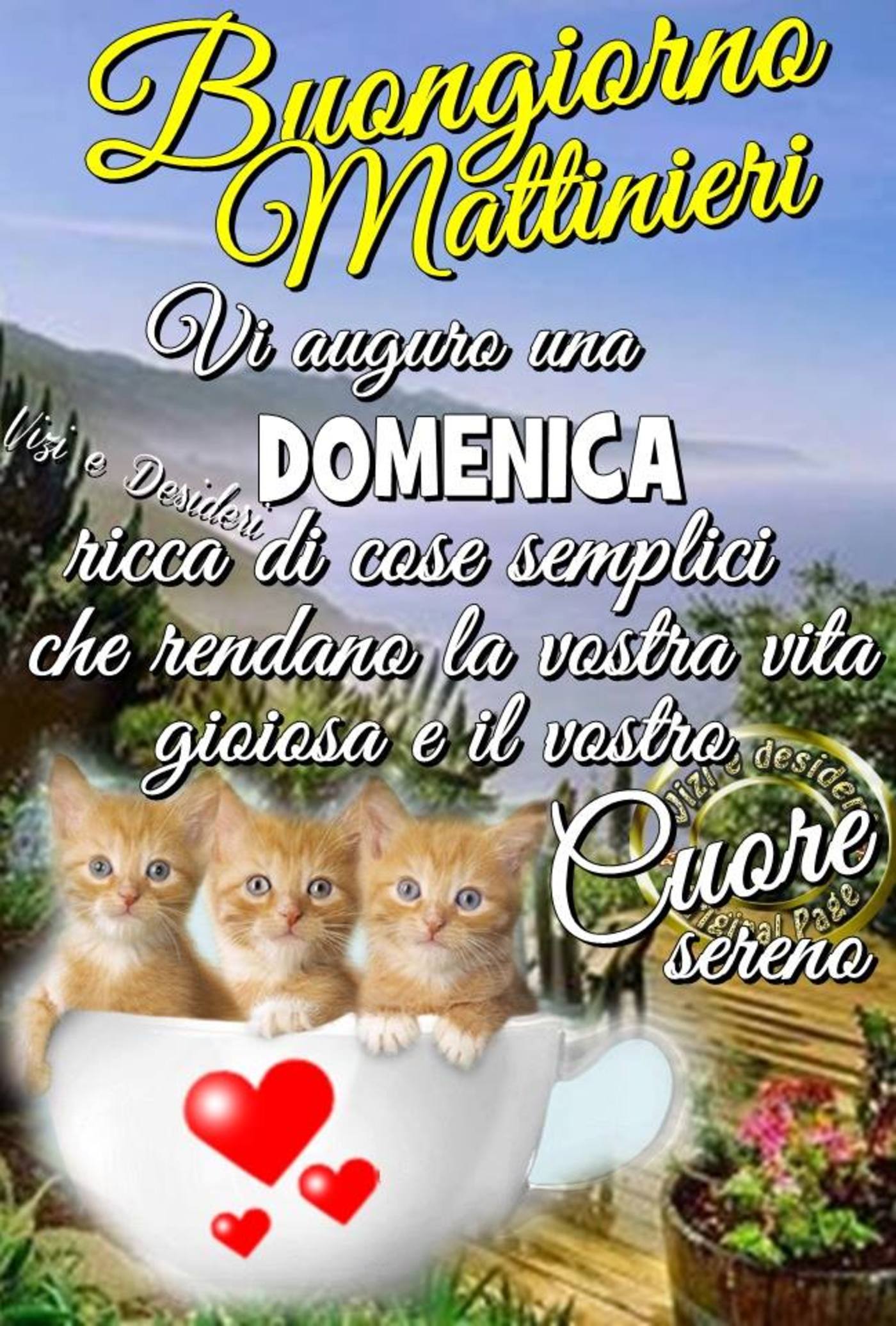 Buona domenica mattina (1)