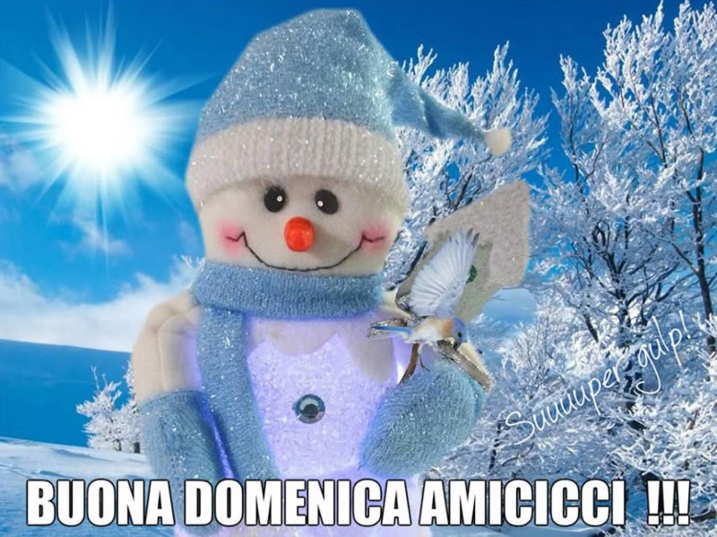 Buona domenica nevosa