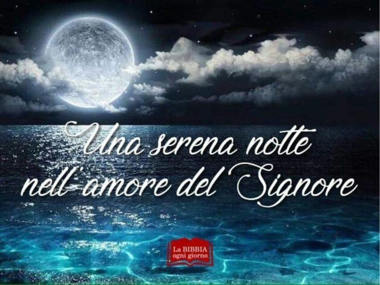 Buonanotte (21)