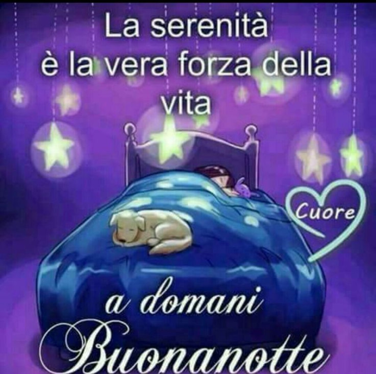 Buonanotte (23)